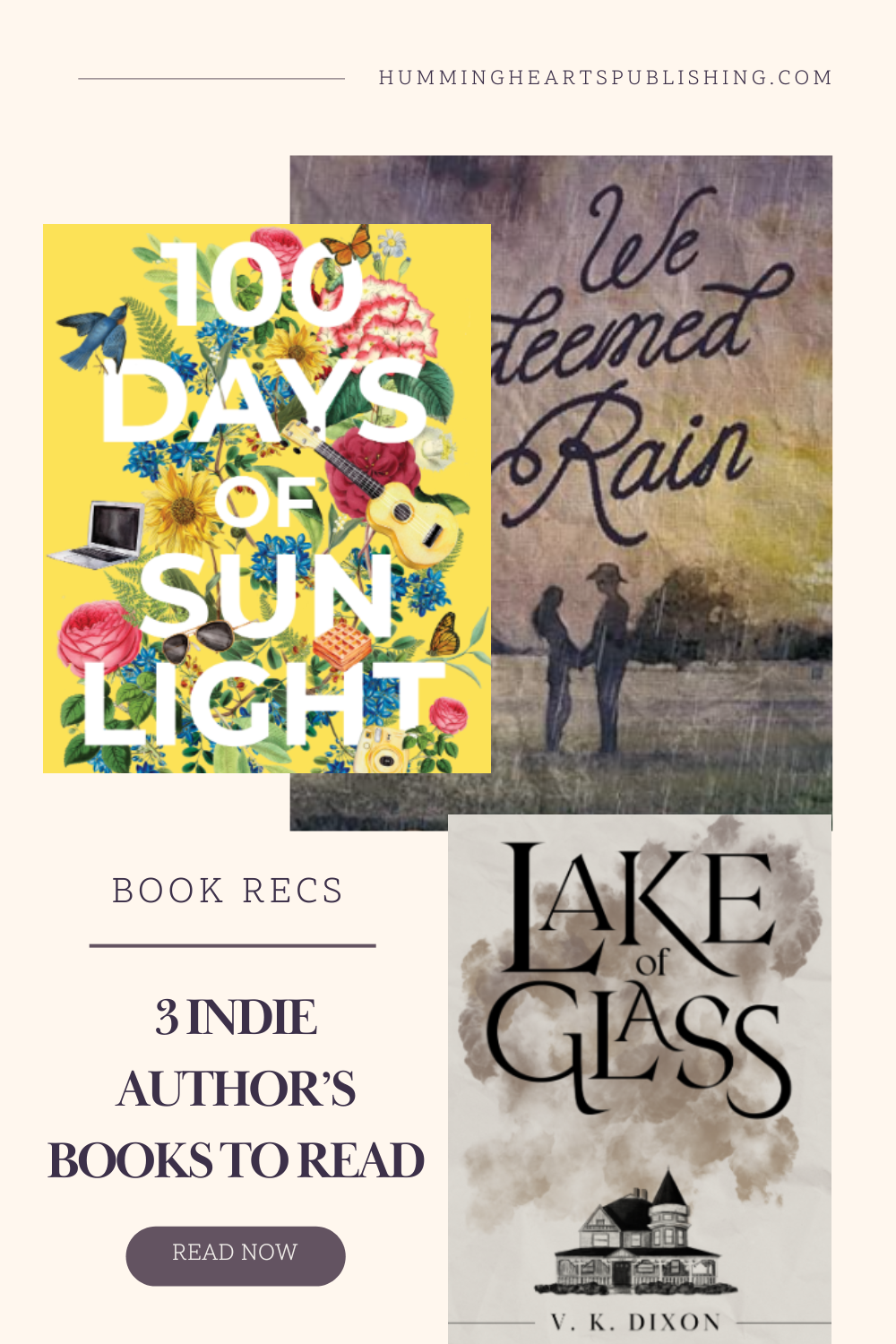 3 indie author books to read and book reviews