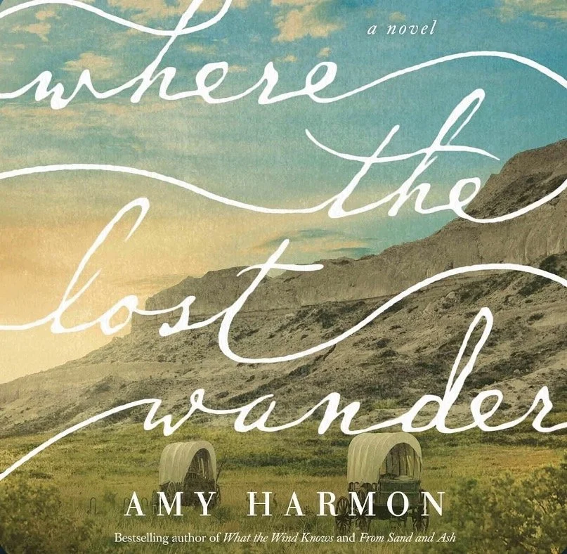 Where the Lost Wander by Amy Harmon Book Analysis
