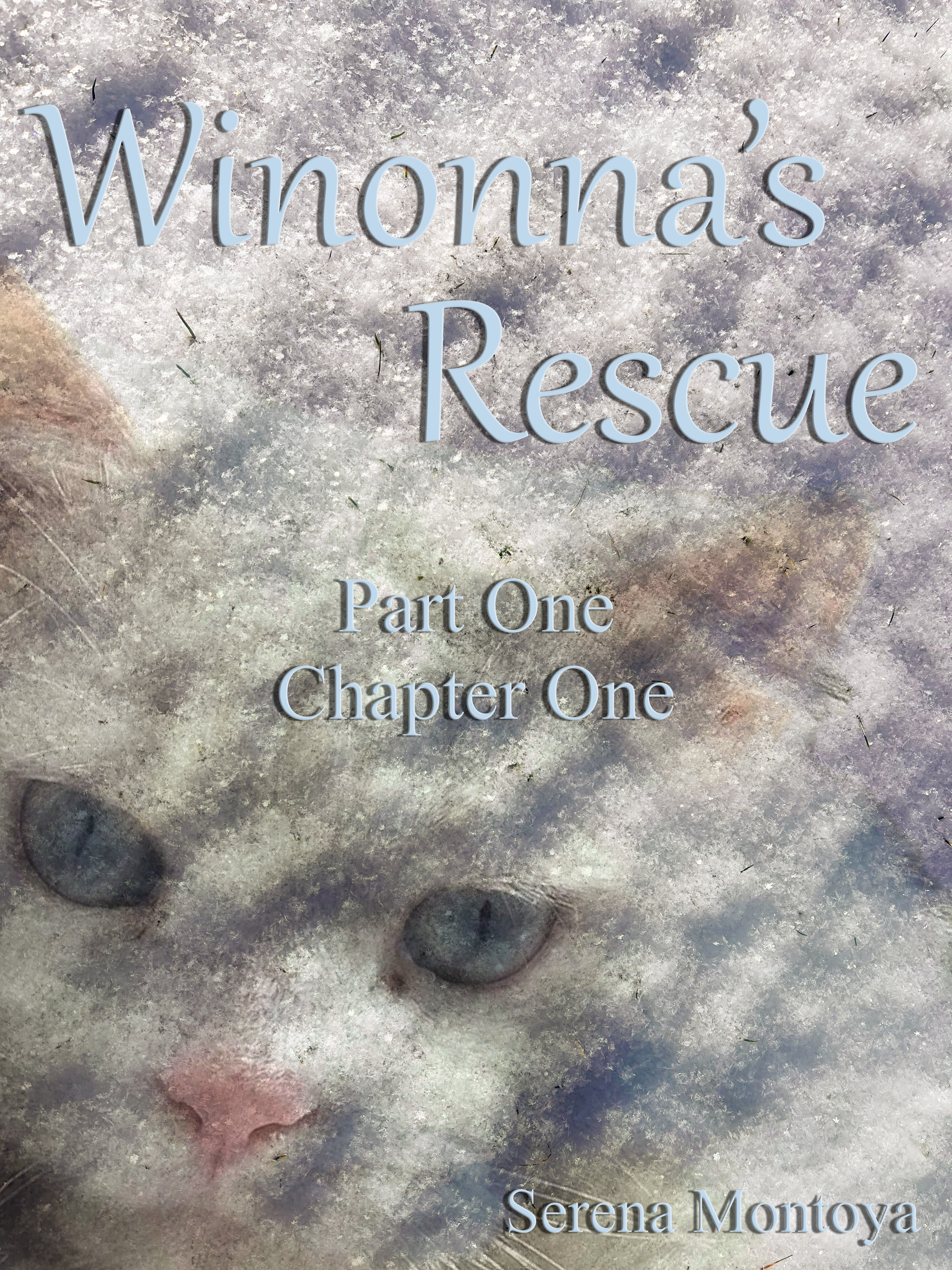 Winonna's Rescue Chapter One Fiction Novella