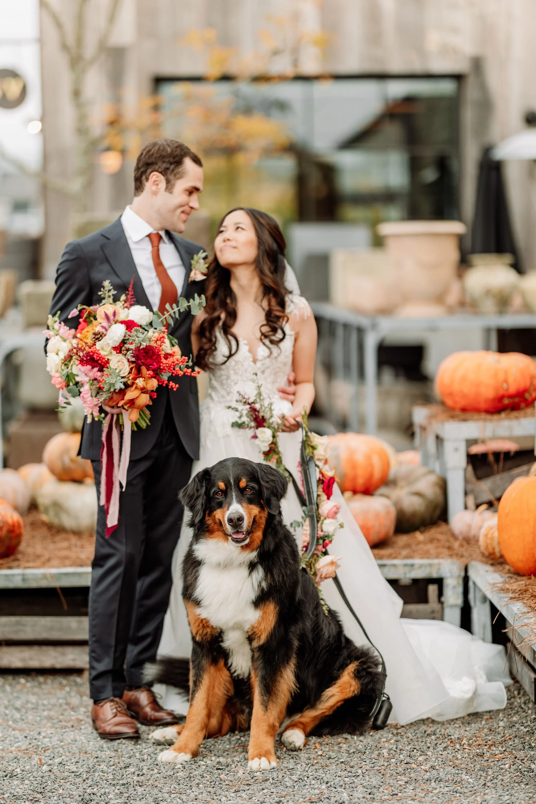 A newlywed couple standing outdoors among pumpkins, with a Bernese Mountain Dog sitting in front of them. The groom is in a black suit holding a large bouquet of colorful flowers, and the bride is in a white wedding dress holding a smaller bouquet. T
