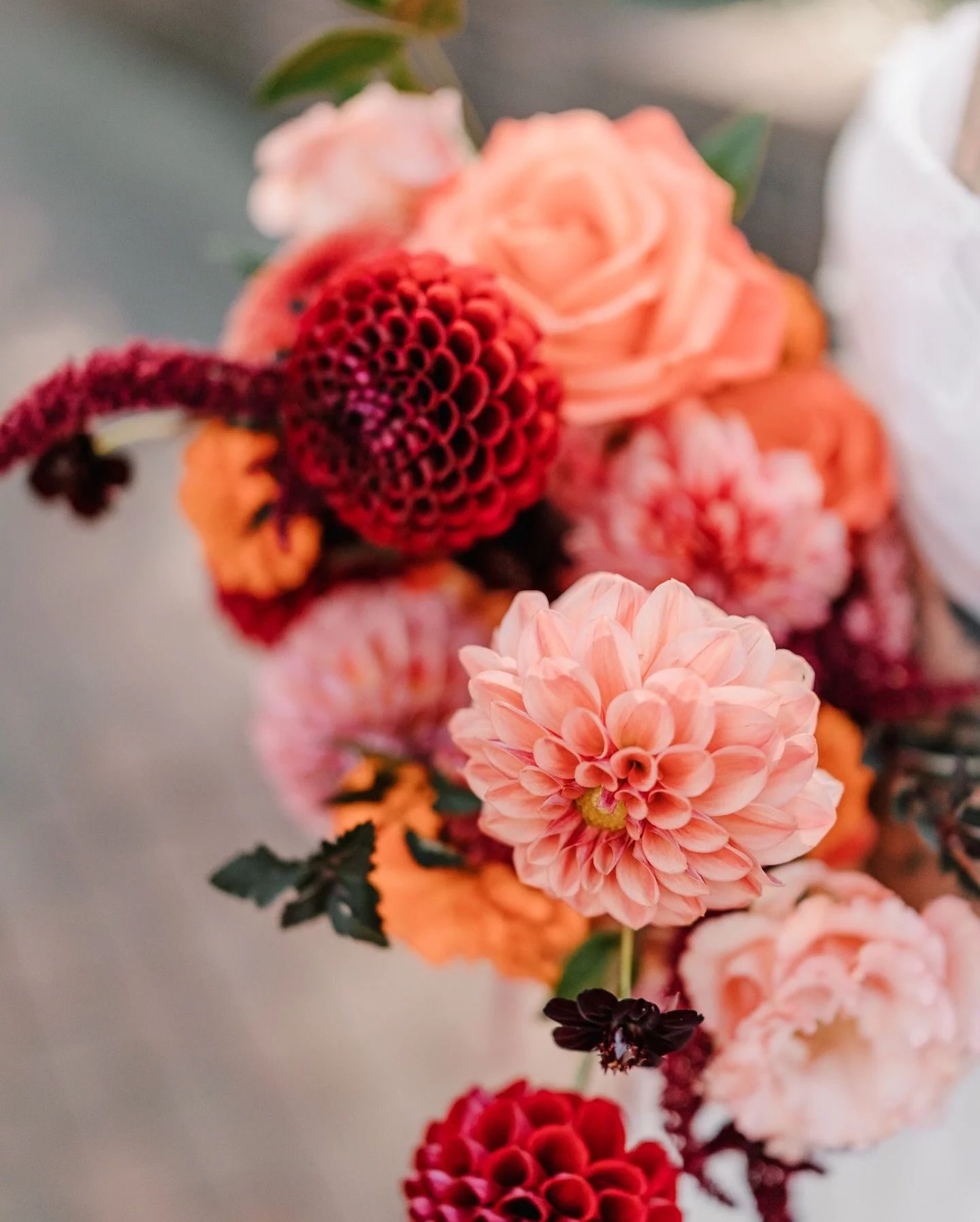Sailing into forever on the decks of The Moshulu ✨ Jillian and Matt&rsquo;s wedding was pure joy from start to finish. Surrounded by their best friends, dancing the night away under the Philly skyline, and wrapped in the warm colors of a bright fall 