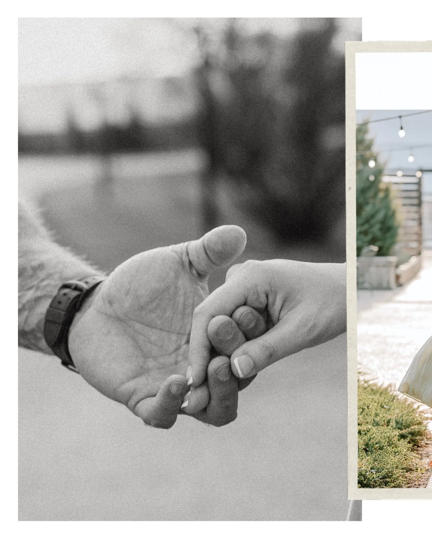 Erica + Alex kicked off my very first engagement session of the year and truly set the tone in the best way 🤍

We met at Johnson&rsquo;s Locust Hall Farm right at golden hour and it could not have been more perfect. That soft glow, the open fields, 