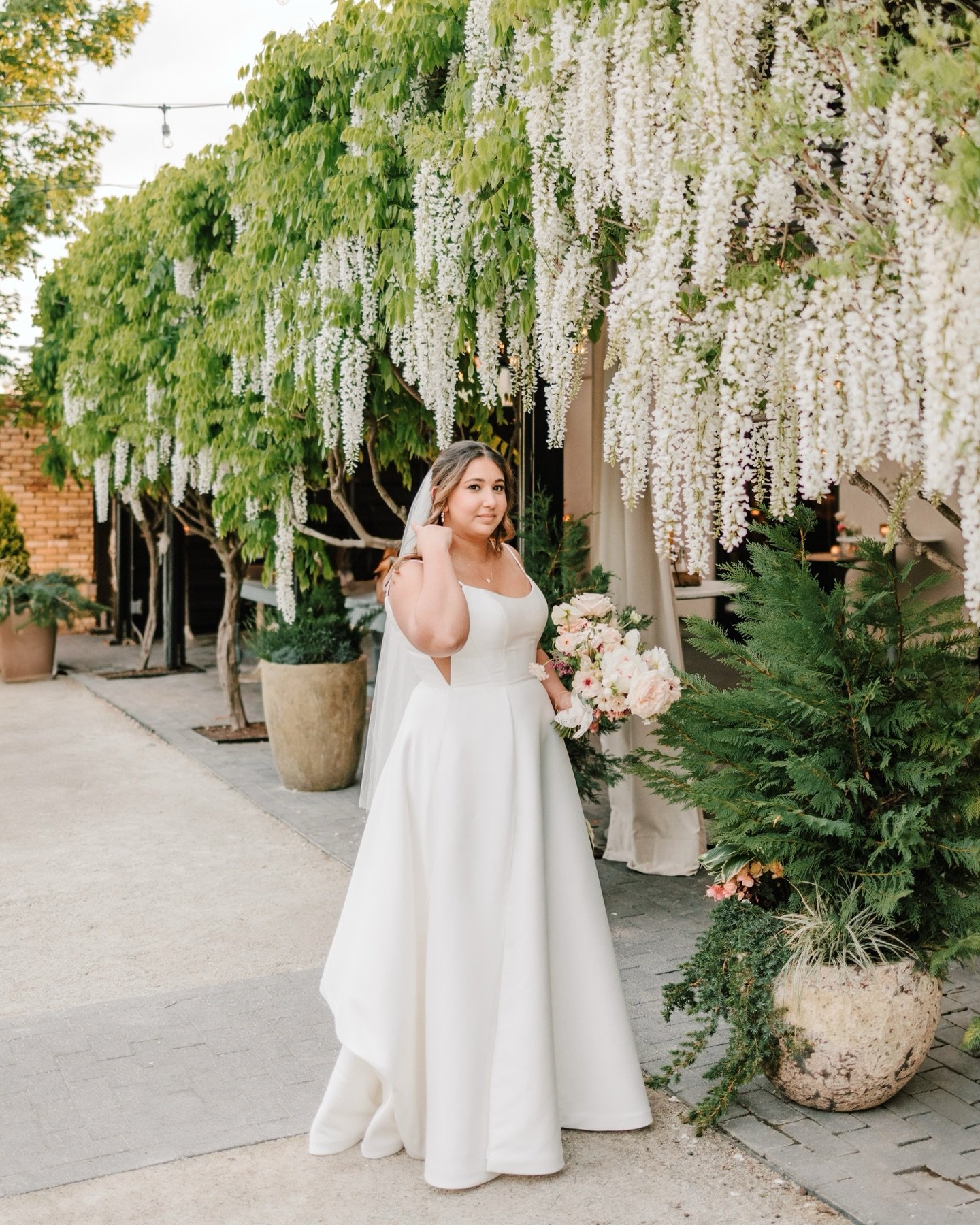 Okay wait&hellip; this day&hellip; 😭

When the wisteria is in full bloom at Terrain Gardens, it honestly doesn&rsquo;t even feel real. Those soft white blooms draping overhead, the way the light filters through, everything just feels calm and romant