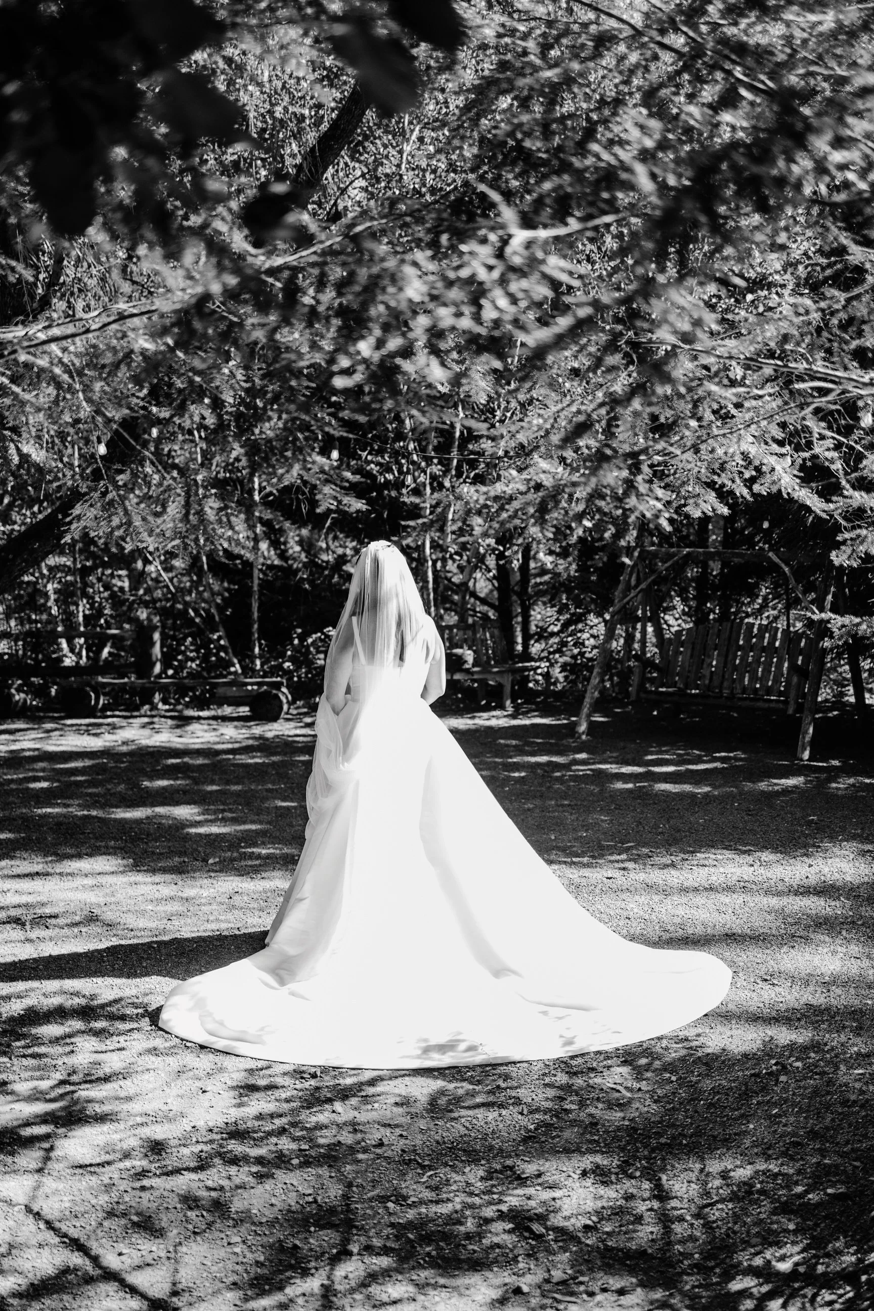 A woman in a wedding dress standing on a dirt ground in a wooded area, surrounded by trees and shadows in black and white.