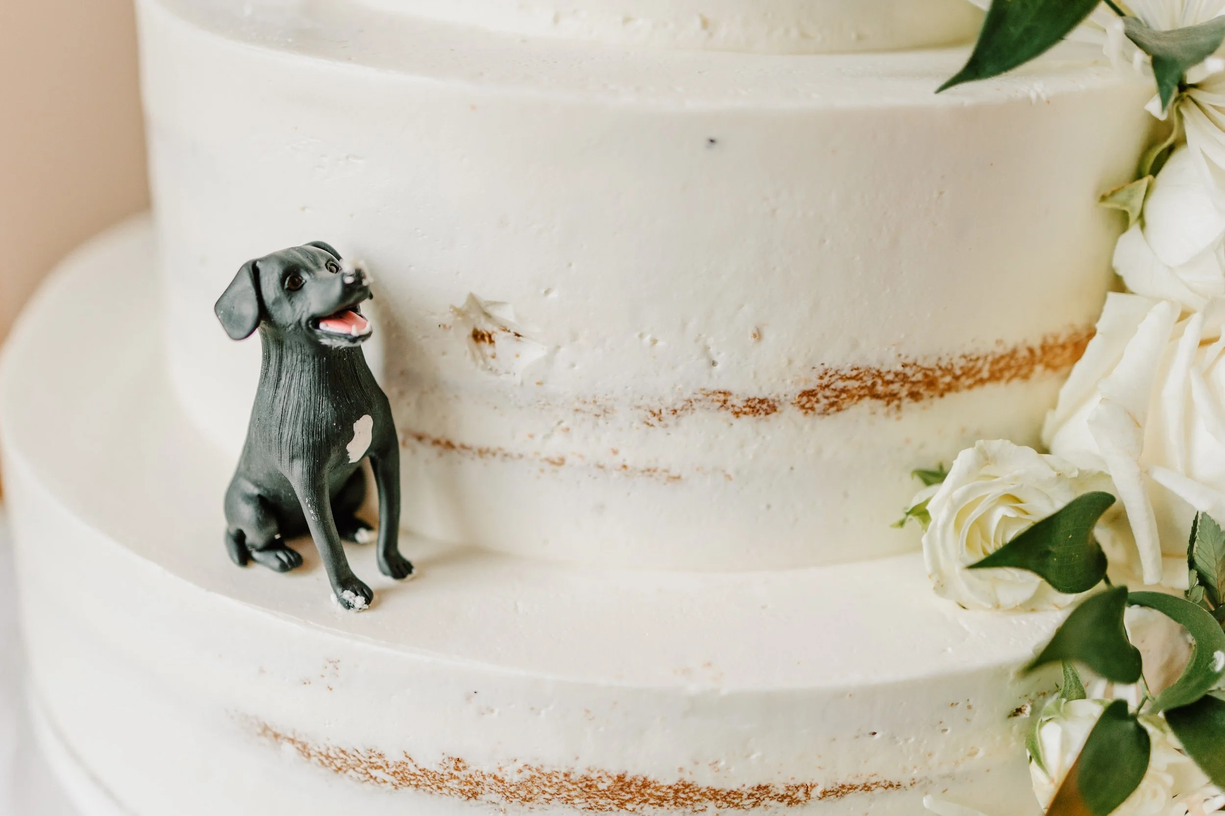 Close-up of a white wedding cake with a small black dog figurine on the side, decorated with white roses and green leaves.
