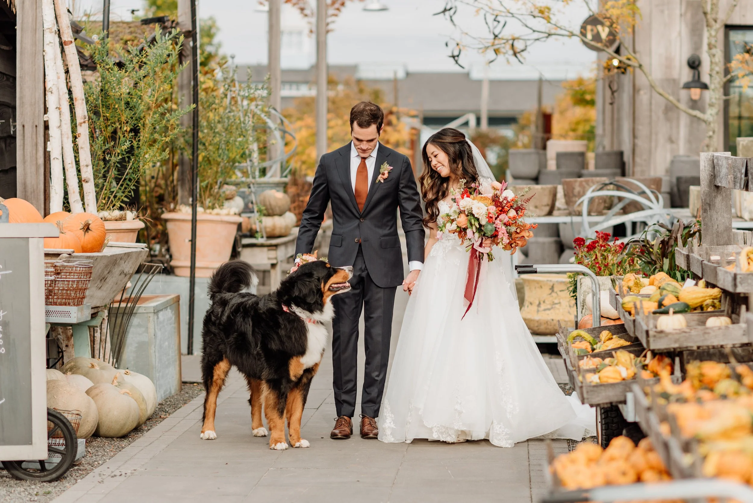 A bride and groom dressed in wedding attire are walking with a large black and tan dog in an outdoor setting decorated with pumpkins and fall foliage.