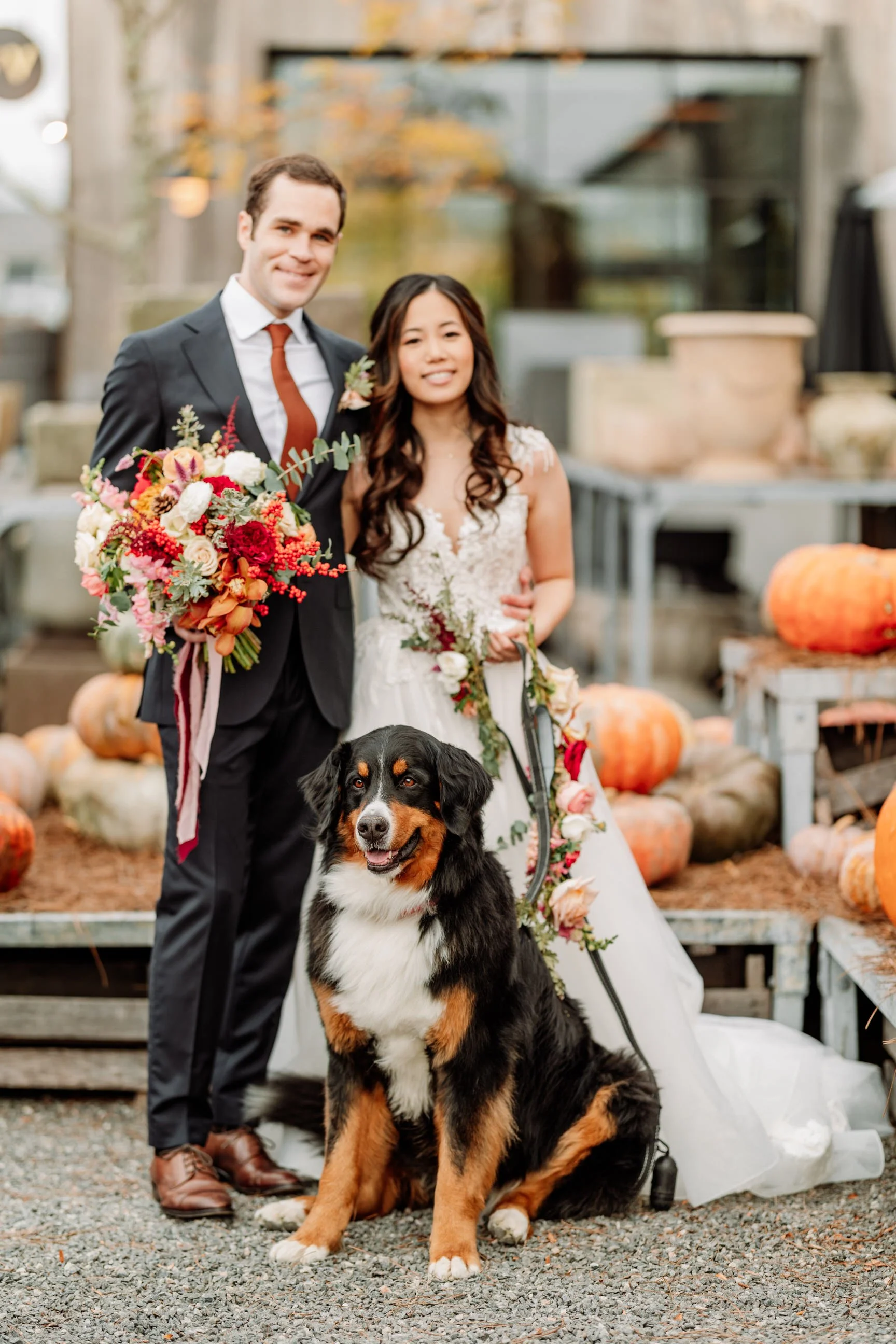 A newlywed couple, with the groom in a suit and the bride in a white wedding dress, standing outdoors among pumpkins. The groom is holding a large bouquet of colorful flowers. A Bernese Mountain Dog sits in front of them, also with a floral accessory