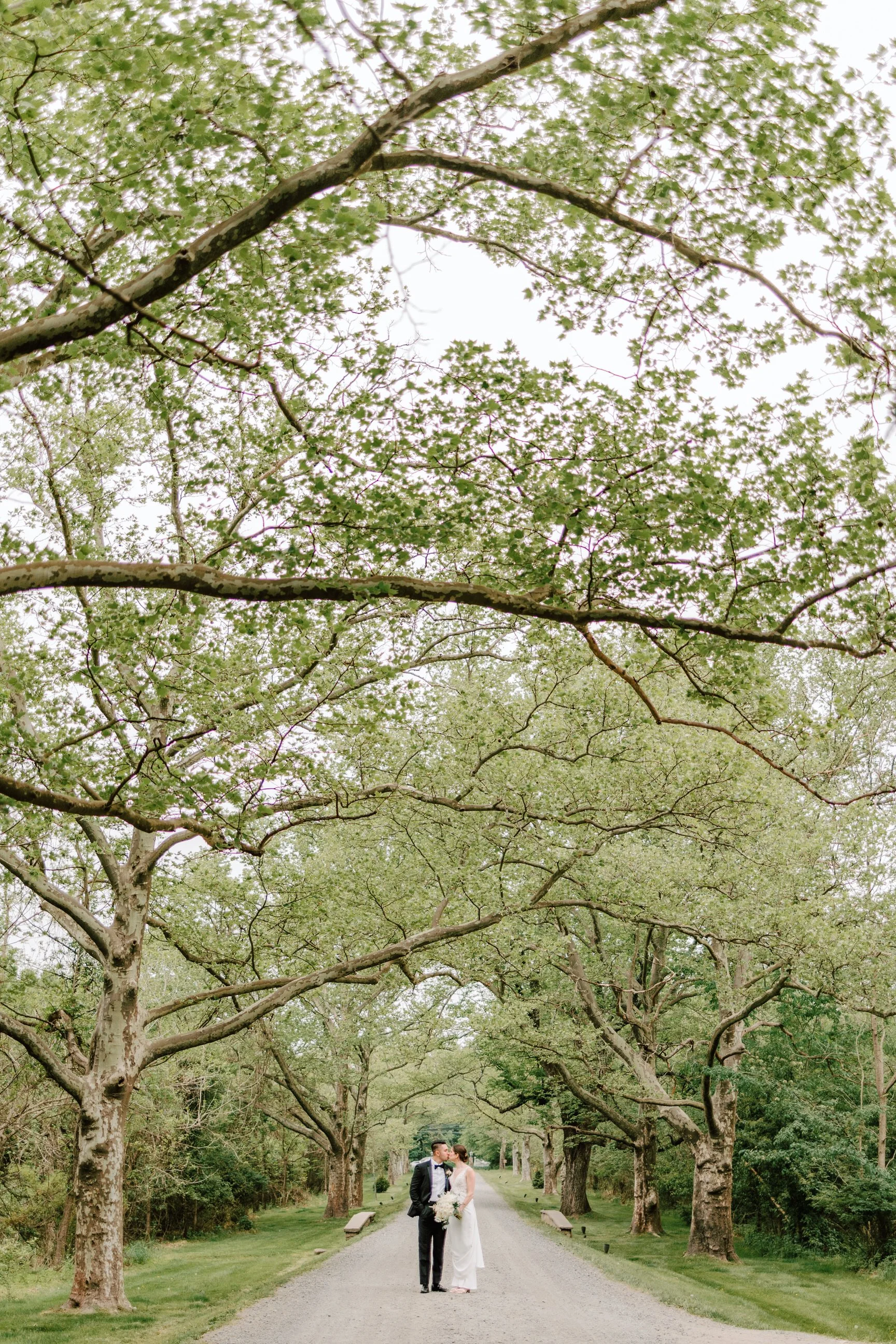 A bride and groom standing close together on a gravel pathway lined with large, leafy trees, sharing a romantic moment.
