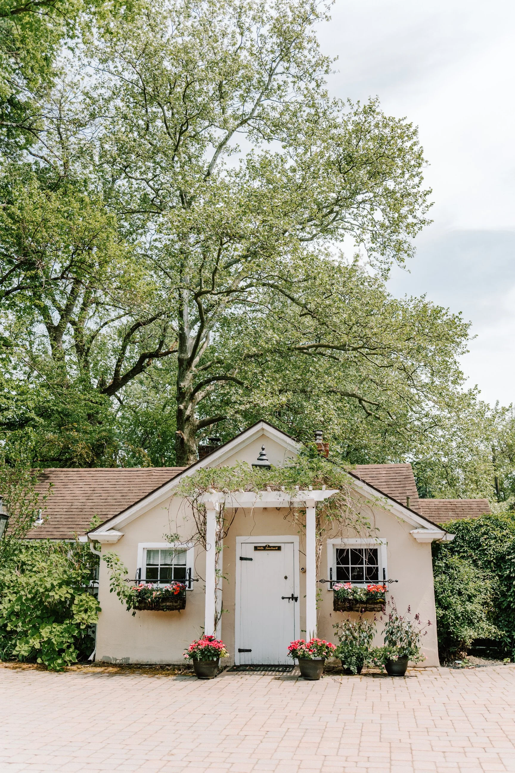 A small, charming house with a white door and window shutters, surrounded by potted pink and red flowers, and large trees in the background.