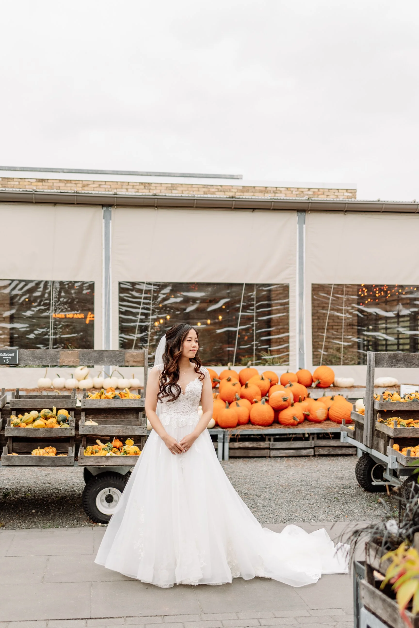 A woman in a white wedding dress standing in front of a pumpkin display at a farm or market.