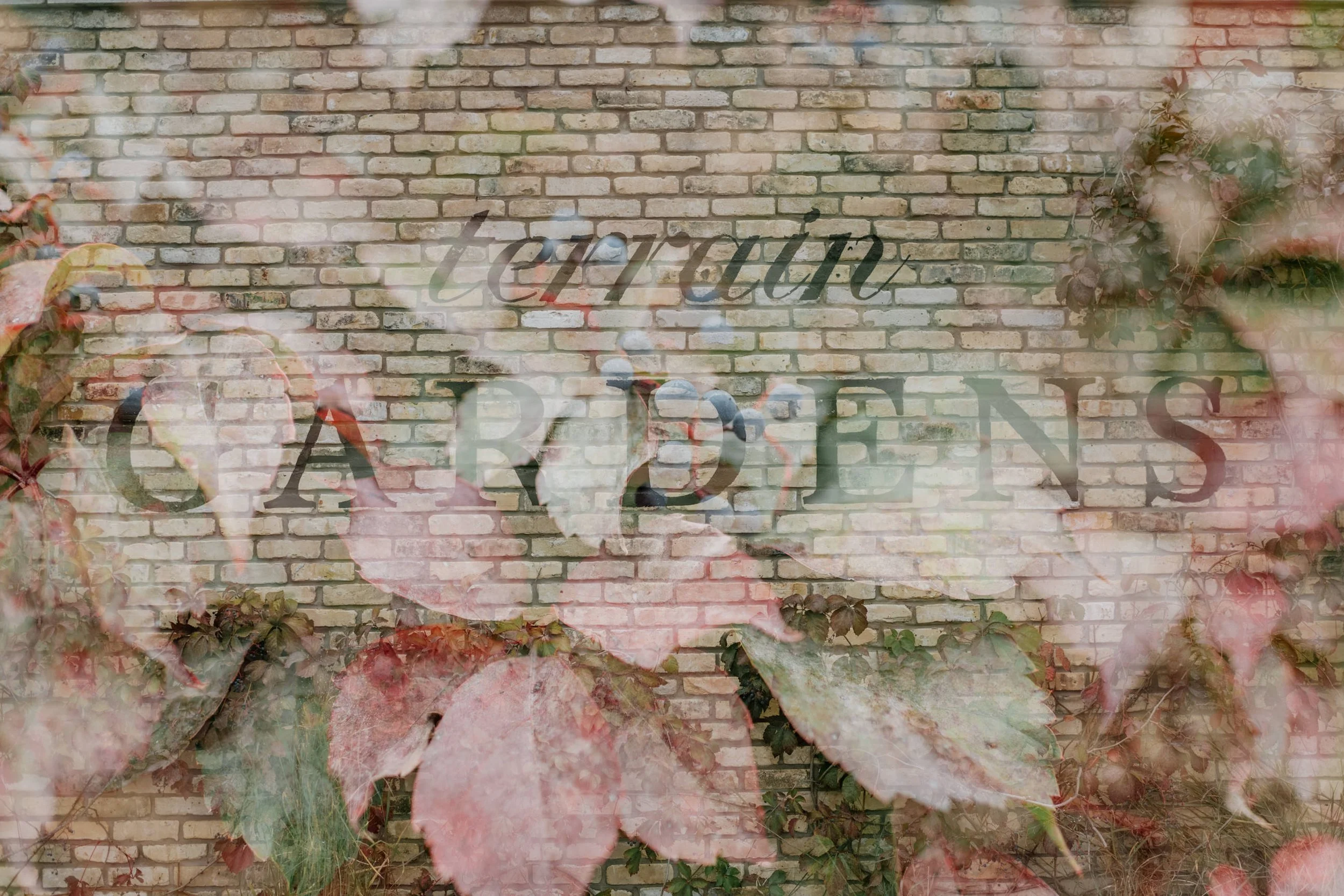 A brick wall with the words 'Terrace Gardens' written on it, overlaid with pink and green leaves.
