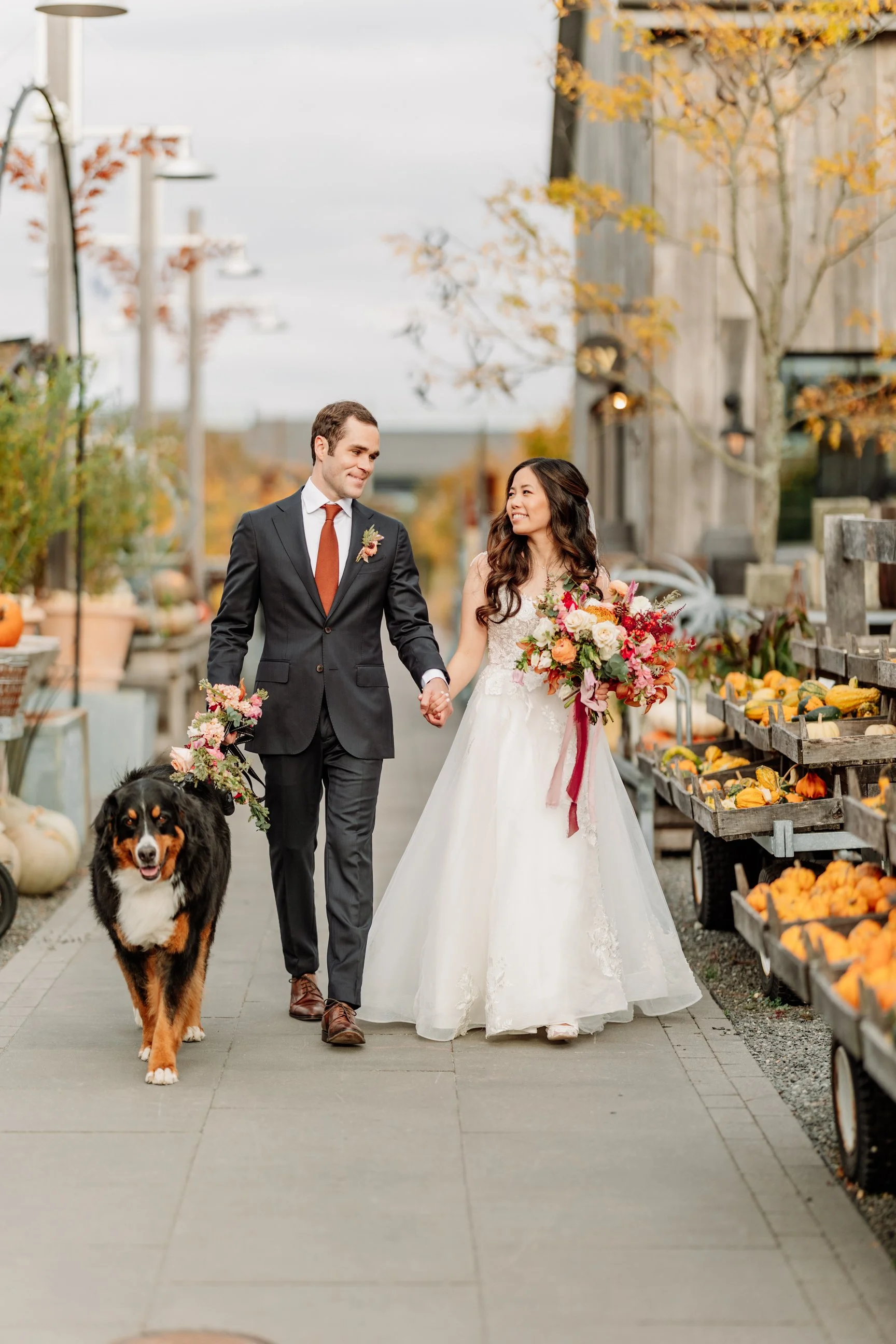 A newlywed couple walking hand in hand with their dog at an outdoor pumpkin patch amid fall foliage and decorated with pumpkins and gourds.
