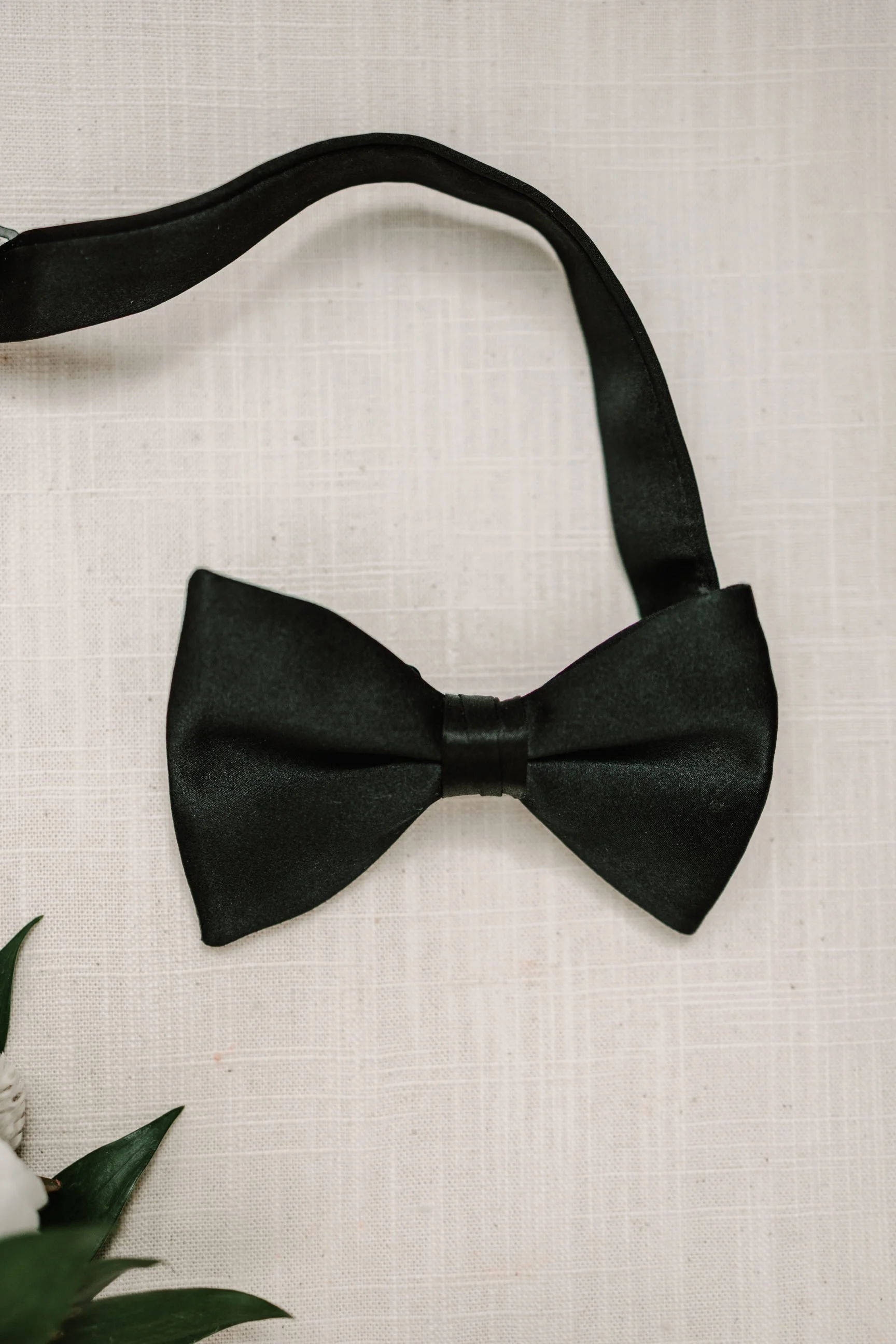 Black bow tie on a light-colored fabric surface with some green leaves visible at the bottom left corner.
