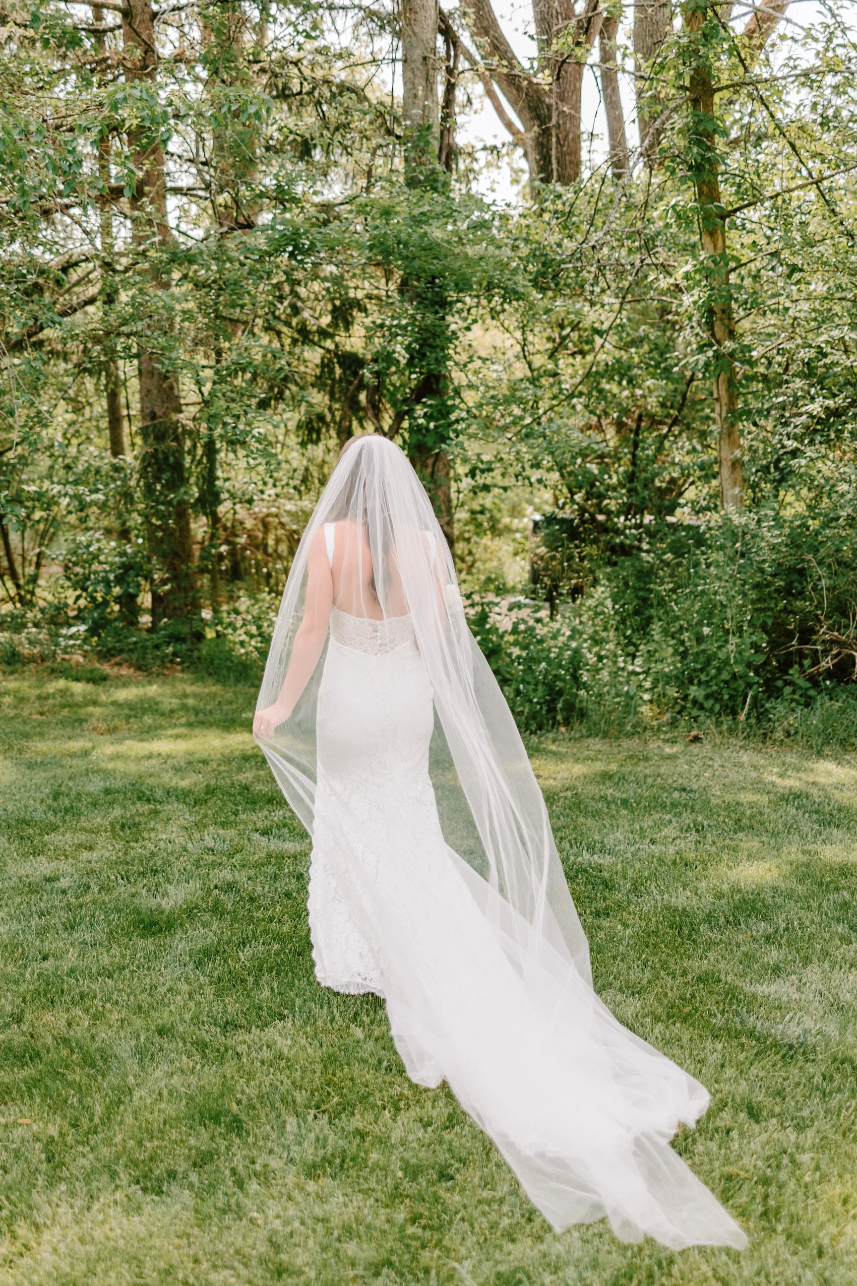 A bride in a white lace wedding dress with a long veil standing on a lush green lawn, with a background of trees and foliage.