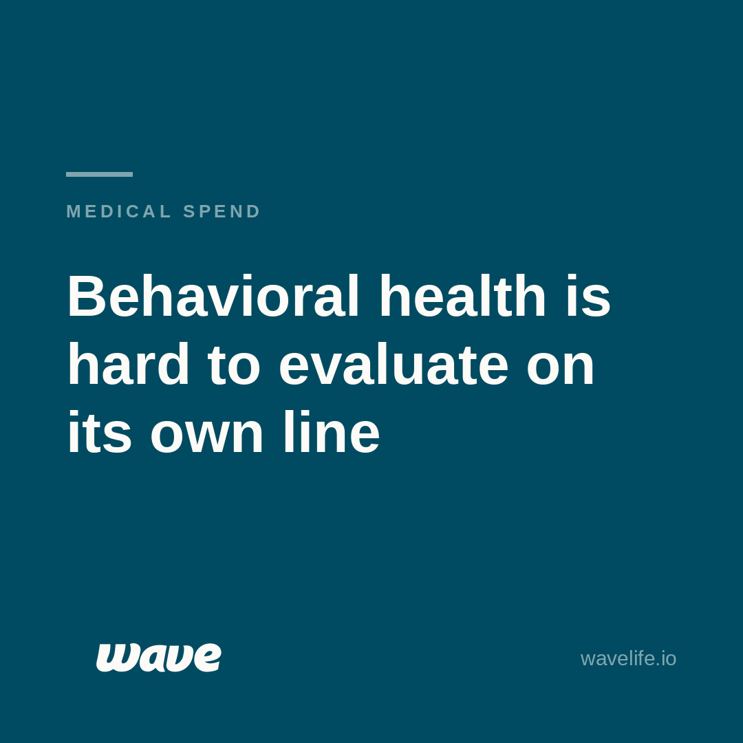 Evaluating Behavioral Health Outside Its Own Line Item