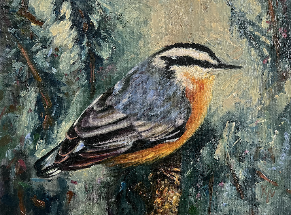 red nuthatch painting for sale