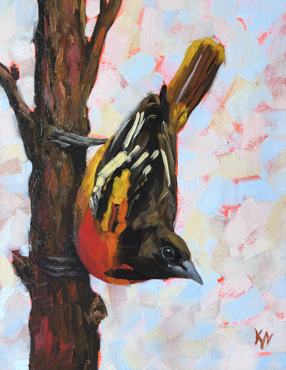 Kristina Joy American oriole painting