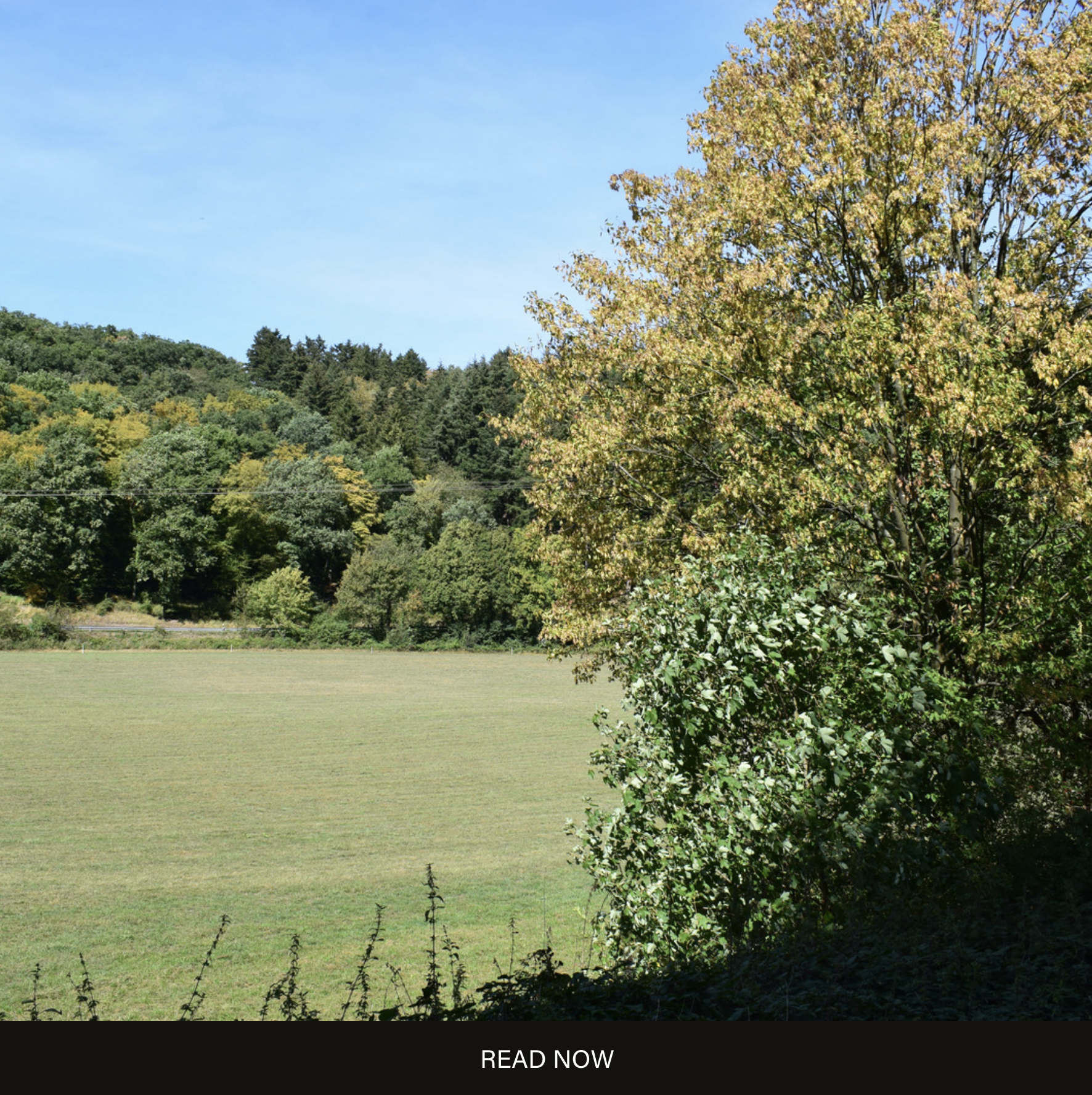 ✨ Embracing Growth and Purpose