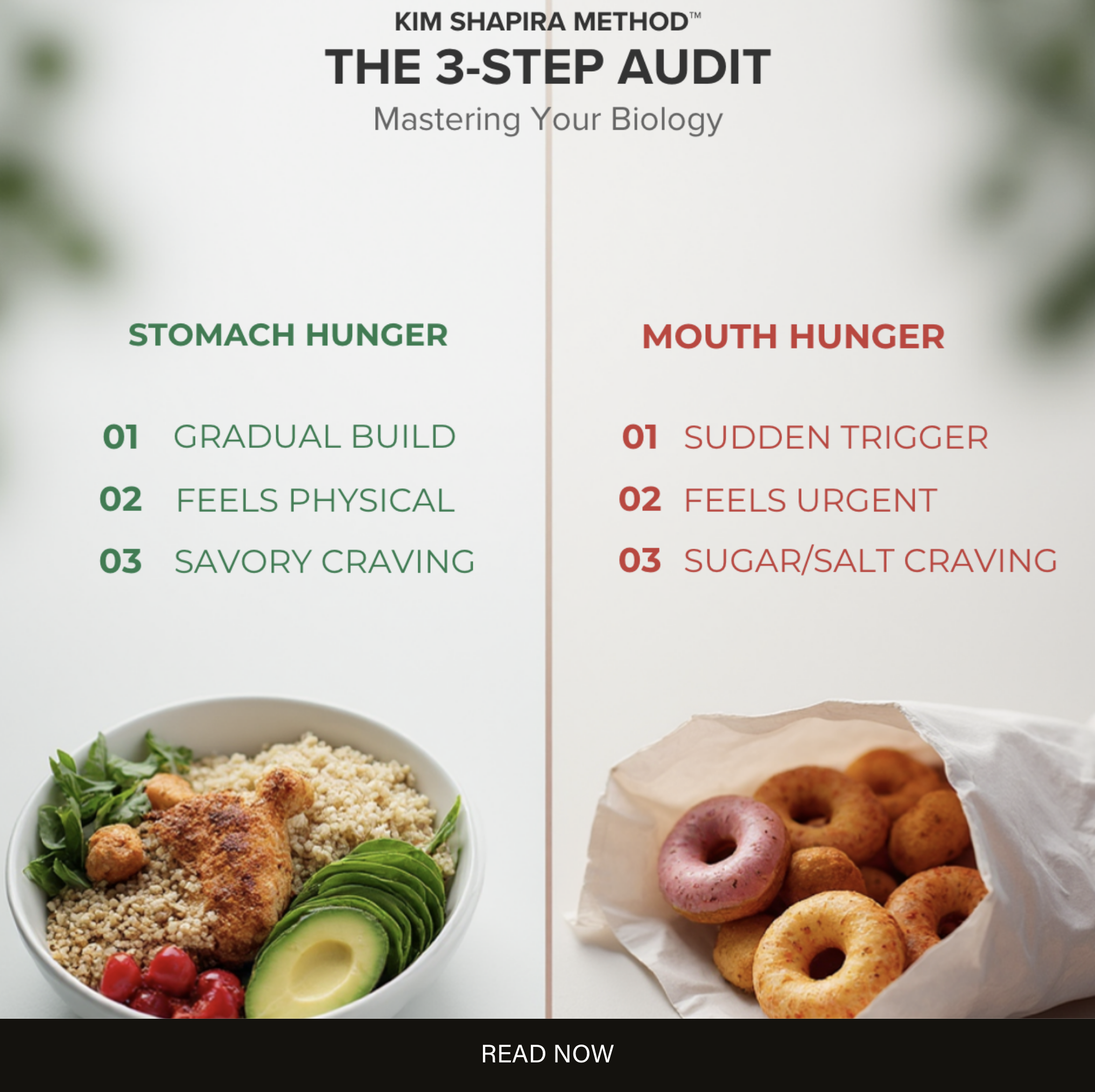 Before it was a trend: My contribution to Oprah Daily on the science of “Food Noise.”