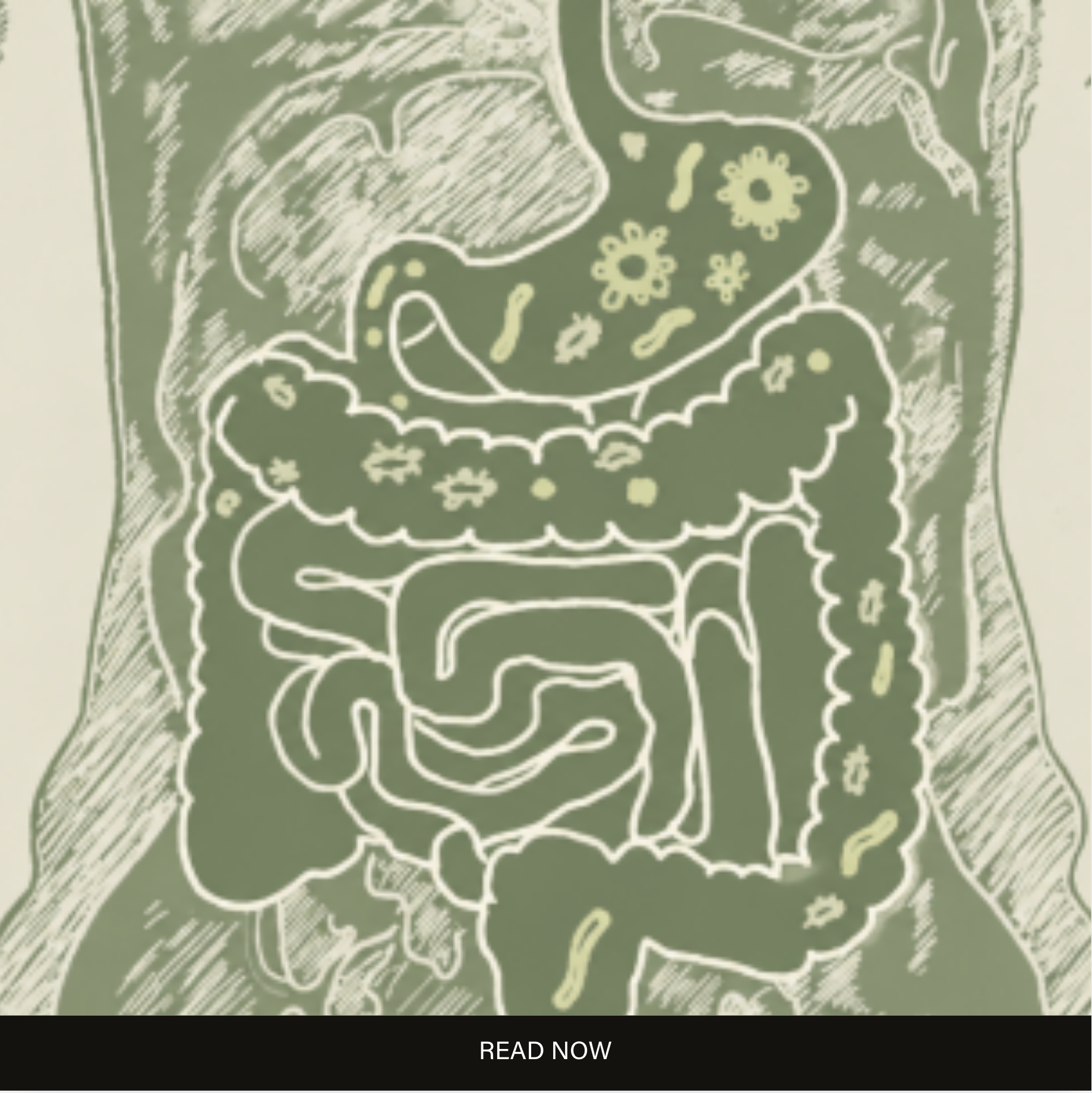 🦠 Bug Watch: How to Protect Your Gut &amp; Boost Your Bodyguards Right Now