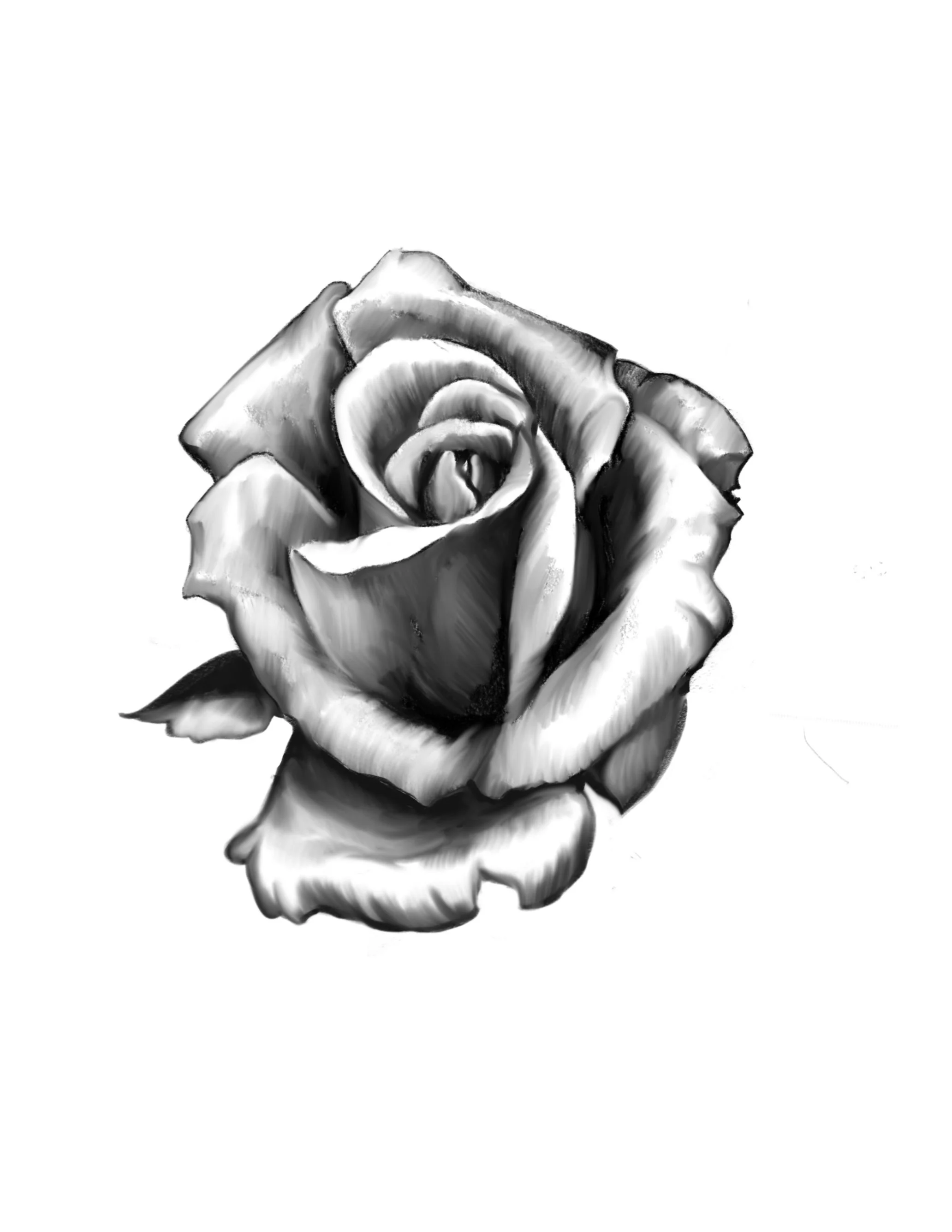 Untitled_Artwork.jpeg