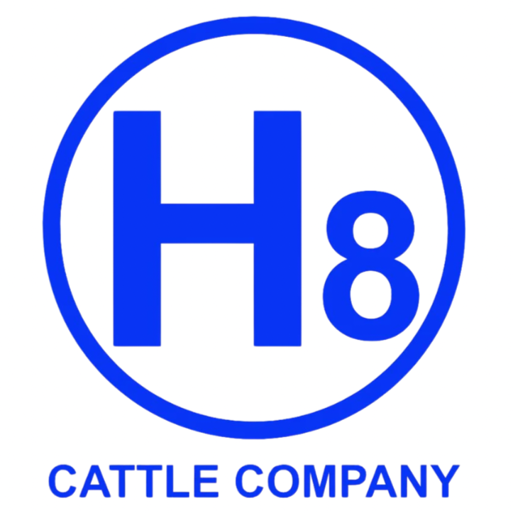 Circle H8 Cattle Company
