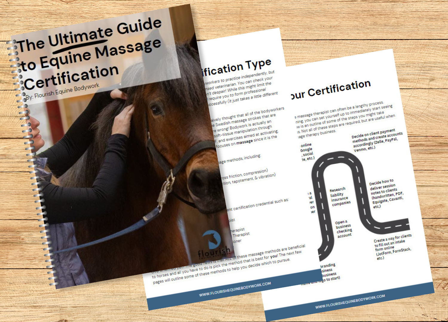 Ultimate Guide to Equine Massage Certification Digital Download Ultimate Guide to Equine Massage Certification Digital Download