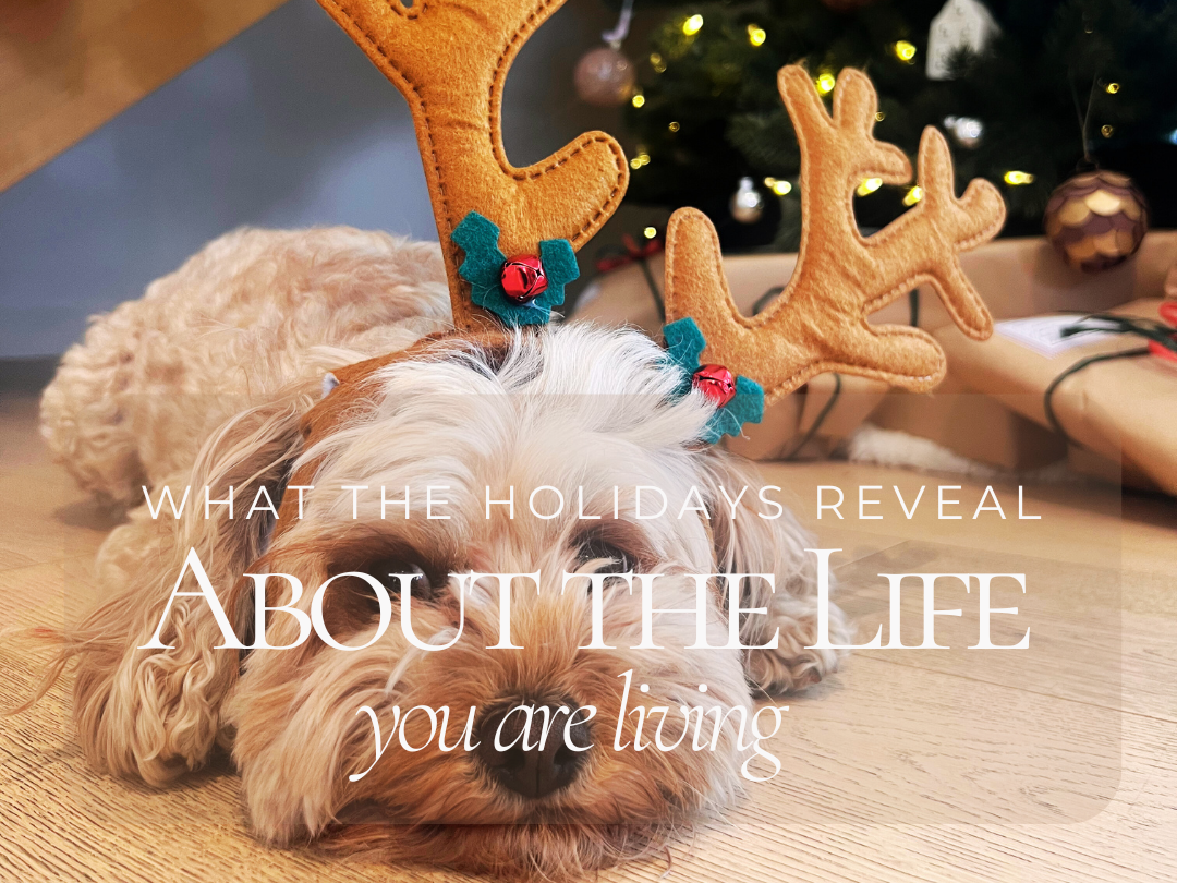 What the Holidays Reveal About the Life You’re Living