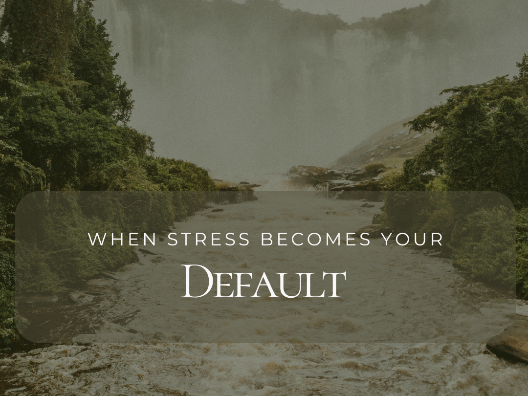 When stress becomes your&nbsp;default 