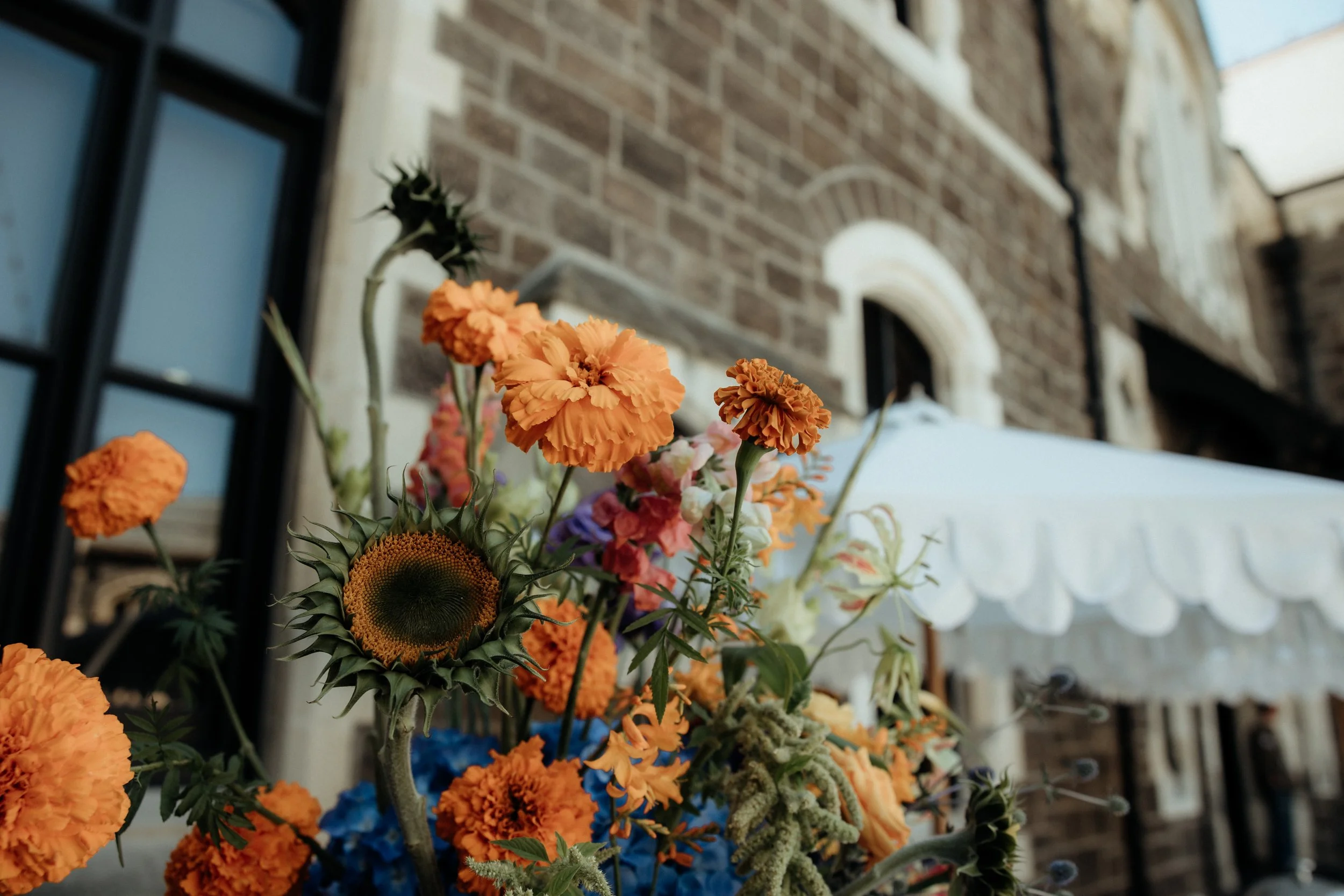 Close-up of assorted colorful flowers, including orange marigolds and sunflowers, in front of a brick building with a window and overhang.