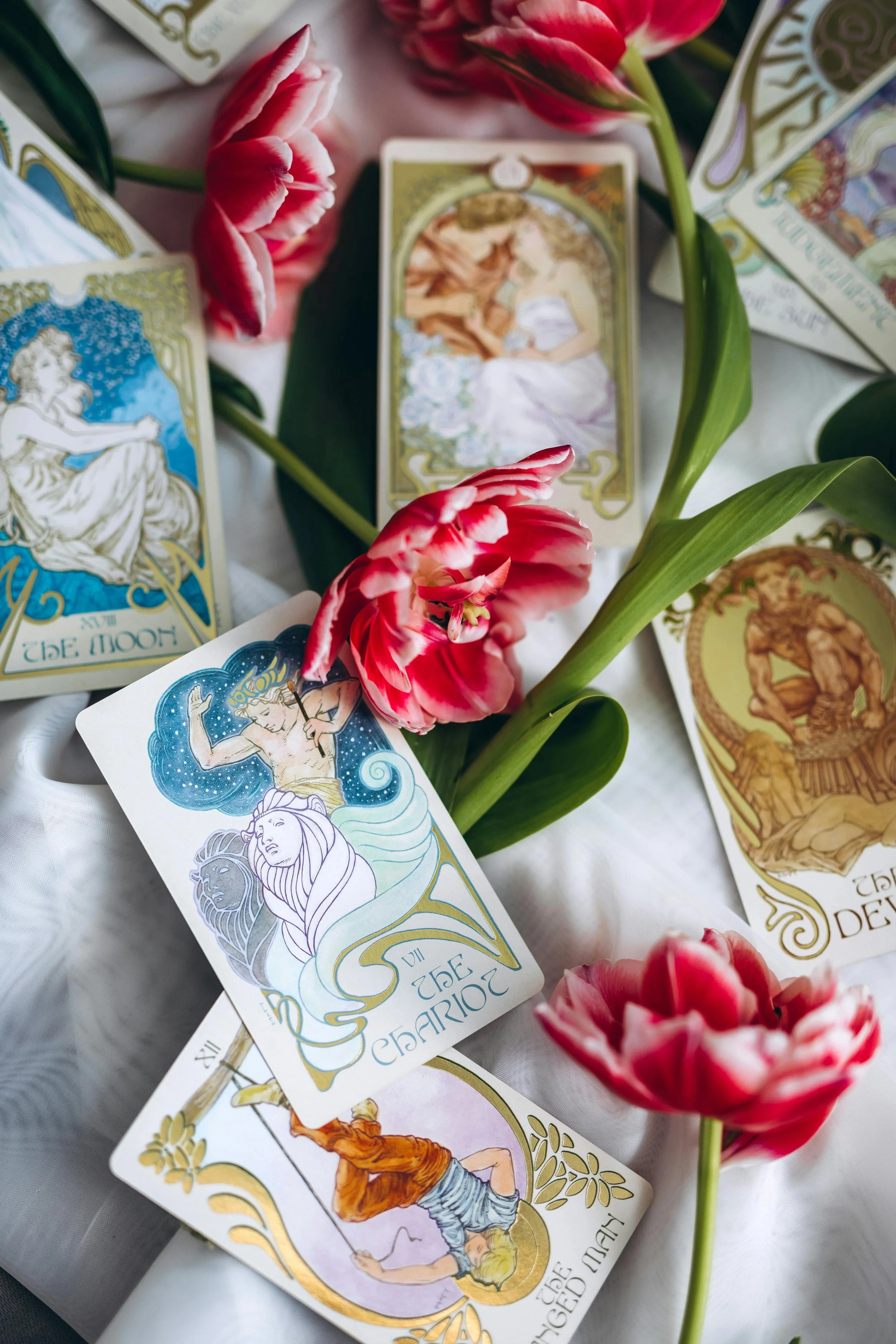 Tarot Card Readings Online and in NY | Cosmic Codes, LLC | Nicole Eley