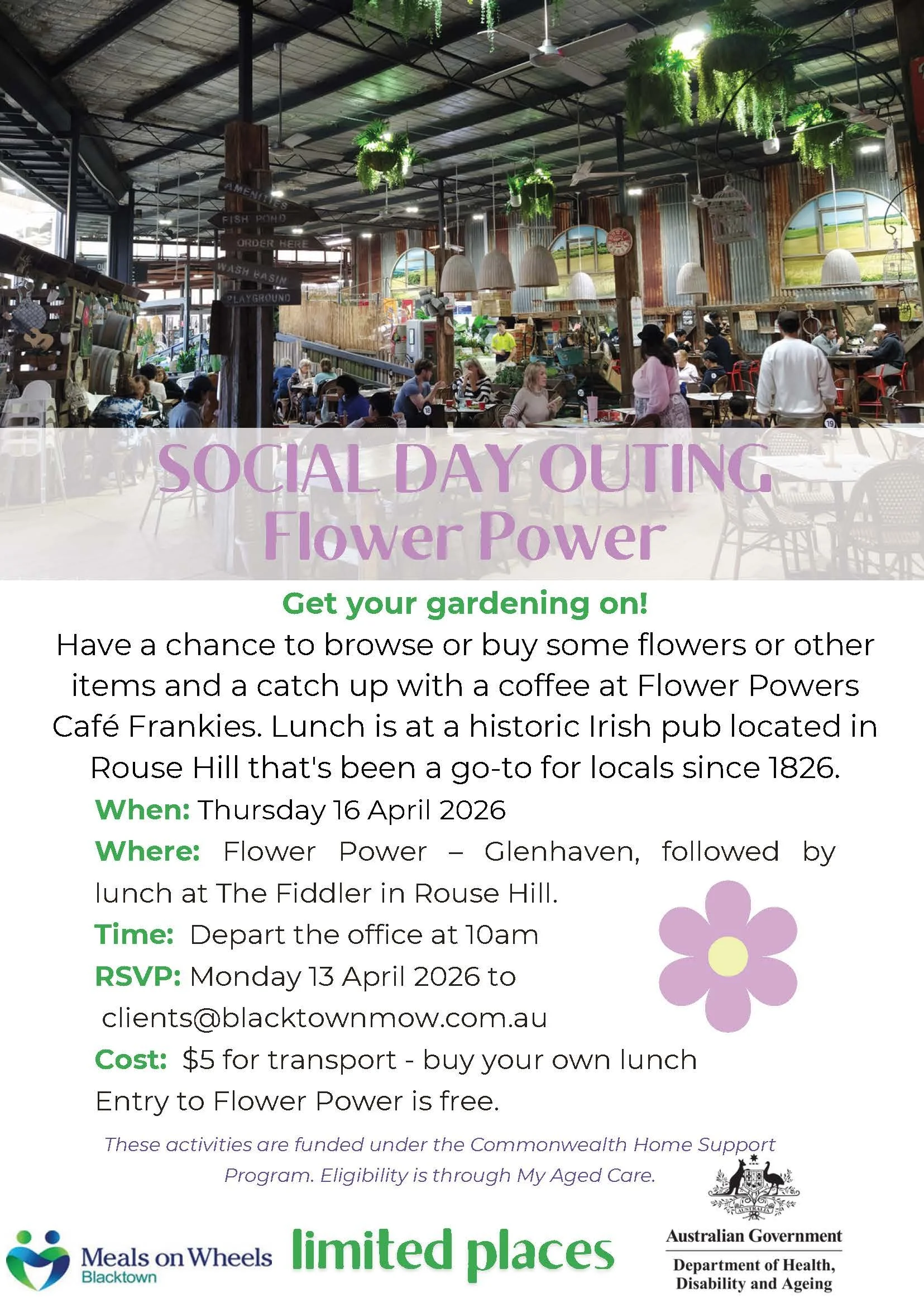 Flower Power + the Fiddler