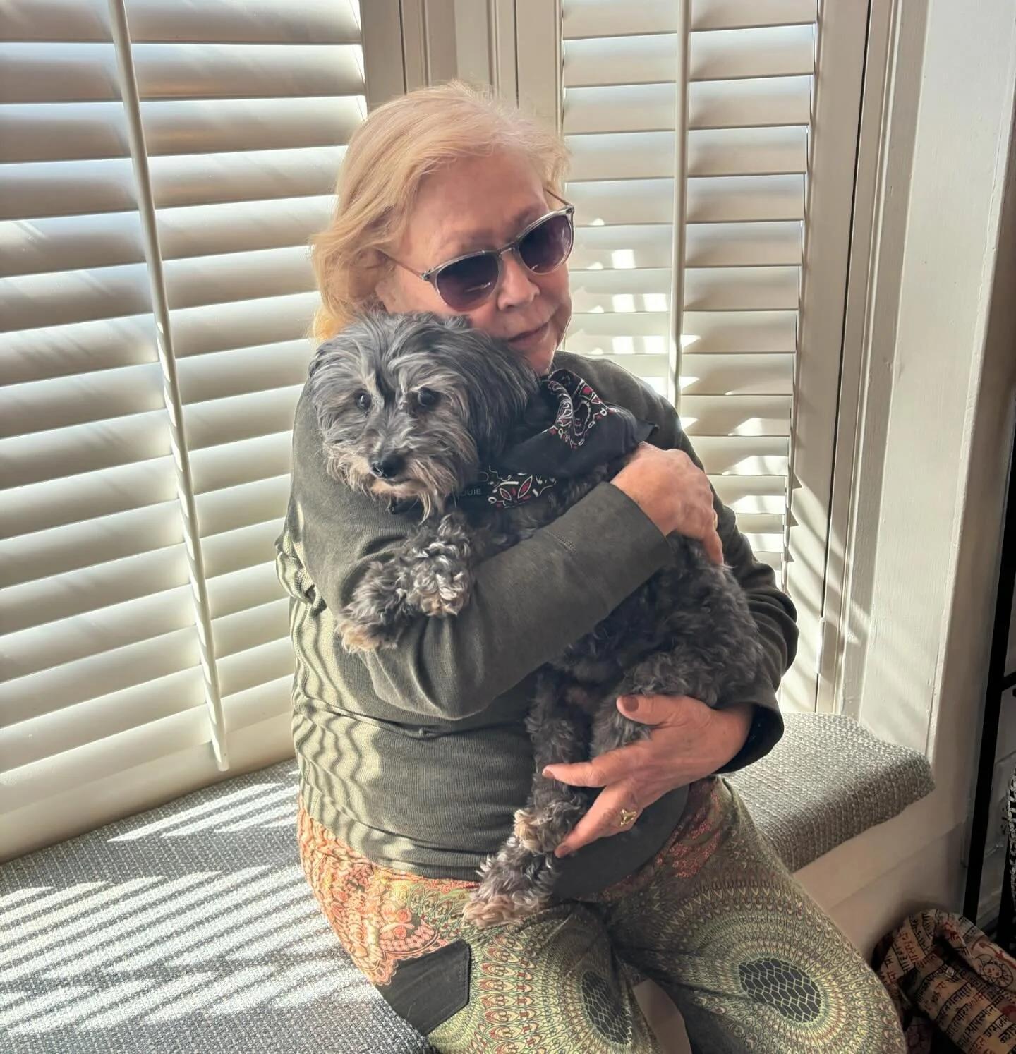 Louie, our YY therapy dog has stolen all the hearts ❤️