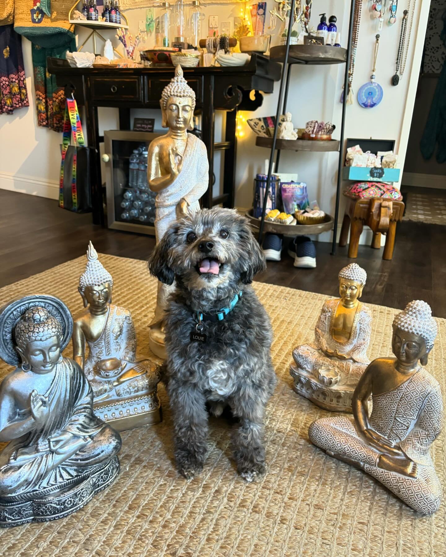 Our 🪷She Shed Boutique🪷 is full of gorgeous handbags, kimonos, comfy yoga pants (one size fits all), jewelry, dreamcatchers, elixirs, crystals, and so much more! 

We have many new items including these beautiful Buddha statues, perfect for your me