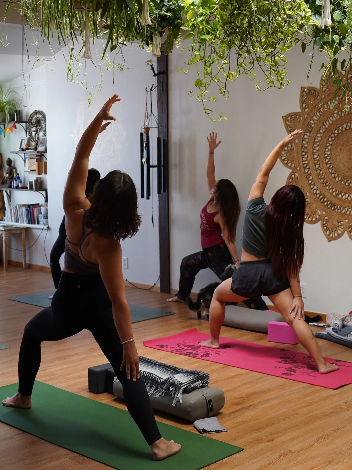 We&rsquo;re not just making shapes on the mat, we&rsquo;re rediscovering what it feels like to live fully in our body, to listen, to feel, to heal, and to step into our power.

Every breath, every movement, every pause is a doorway back to ourselves.