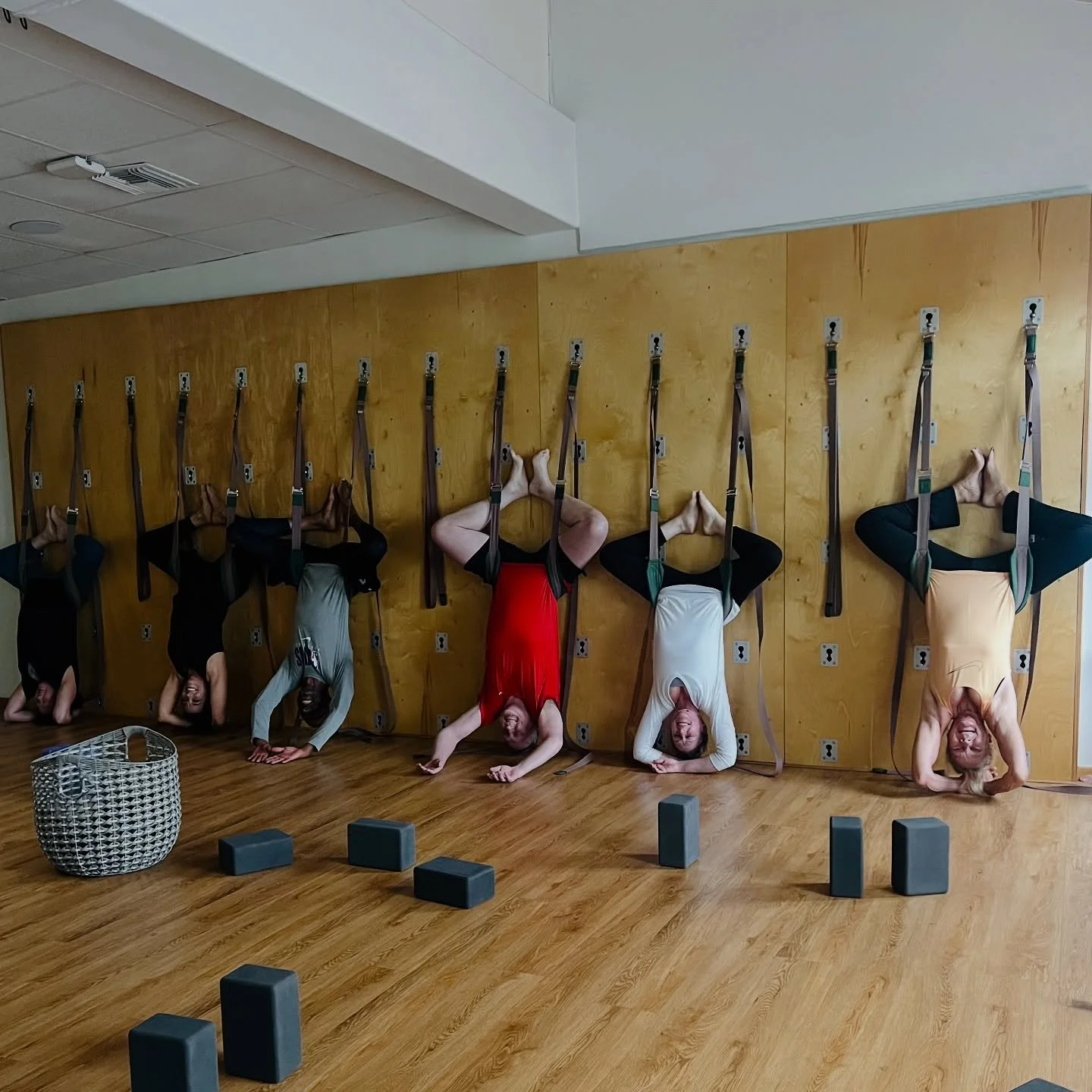 Come hang with us! 🙃
Wall Play every Mon &amp; Fri 4:30pm

Strength &bull; Alignment &bull; Traction &bull; Happy joints

Book your spot + feel the difference! yogayogaonline.com

#WallPlay #AlignmentBasedYoga #YogaTherapy #MindfulMovement #SantaCla