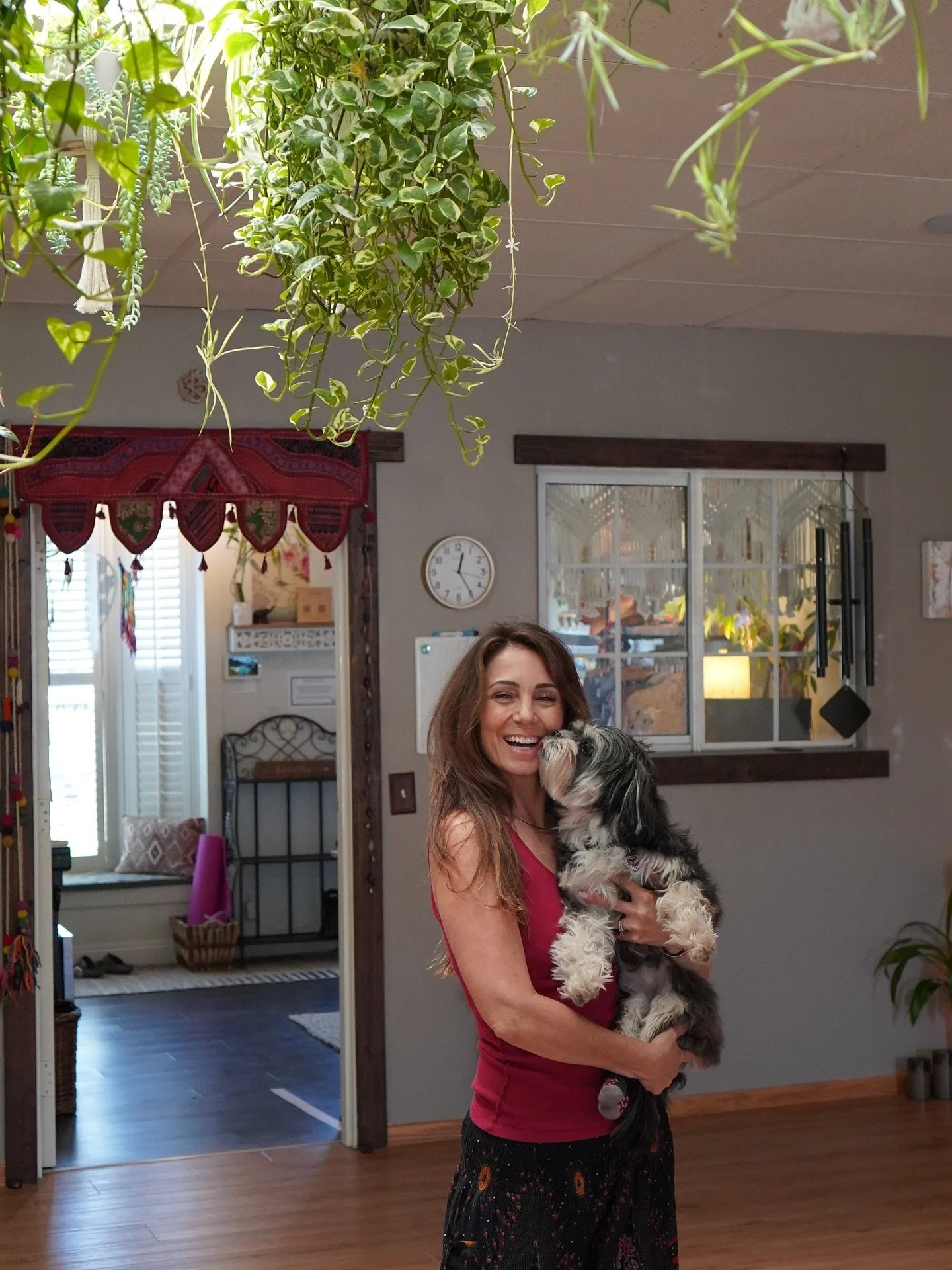 🗣️No saunas. No cold plunges. No long term contracts. Just yoga, good humans, and occasional pup kisses. 🐾

Come feel better in your bod&hellip;the Yoga Yoga way.

Welcome Special $59 one month unlimited yoga for new students✨

Learn more about us 