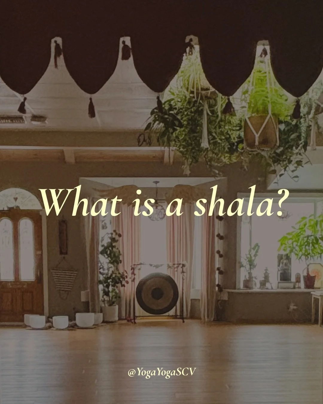 A new year often brings a desire to feel better in our bodies and steadier in our minds.

If you&rsquo;re searching for a thoughtful, healing approach to yoga, we would be honored to welcome you into our shala. 

Our Welcome Special for new students 