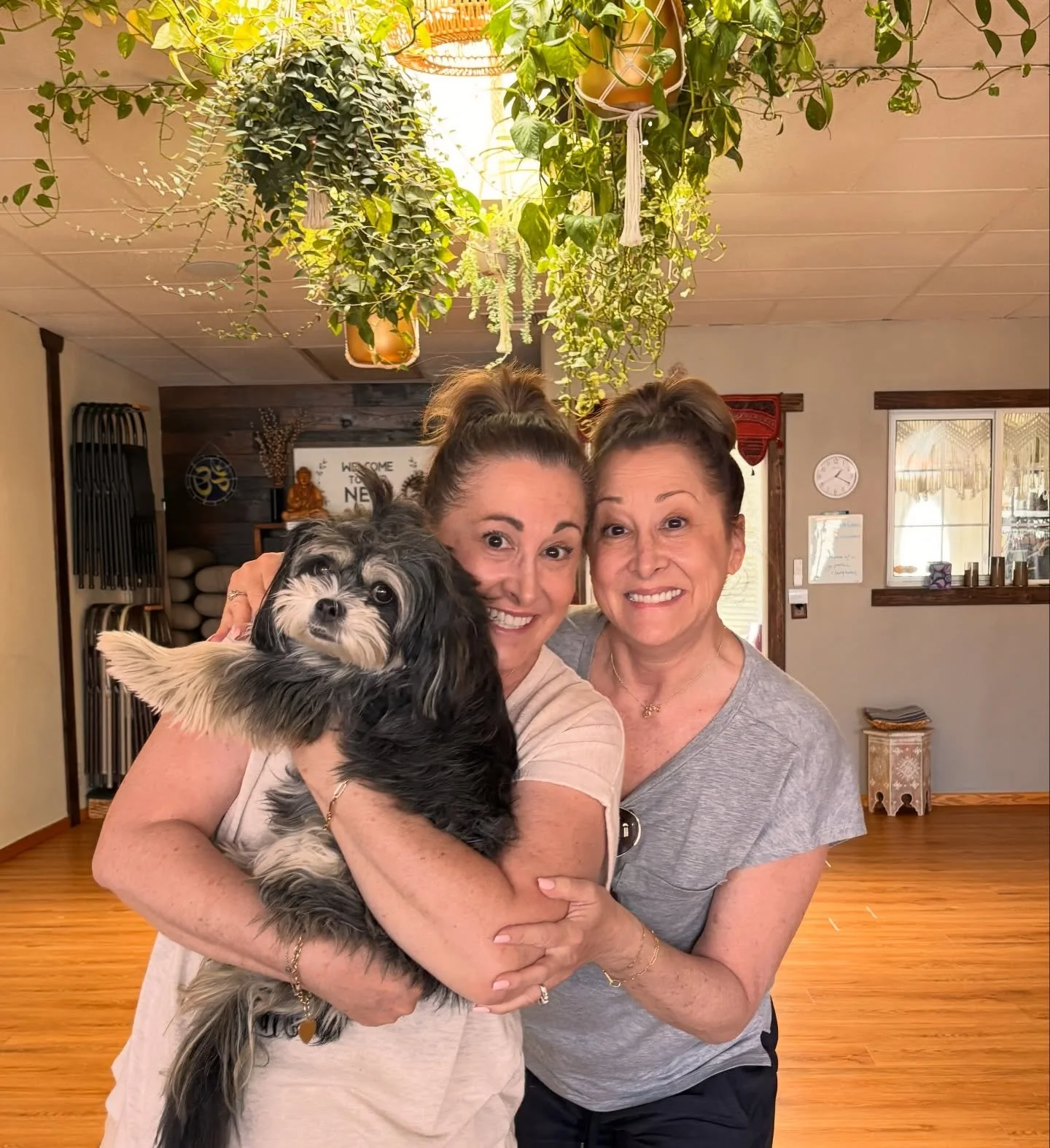 When your yoga students just happen to be twins 🤍 So much love for these two&hellip;and how much they adore Gigi 🐾

#YogaYogaFamily #TwinEnergy #YogaCommunity #GratefulHeart #BoutiqueYogaShala