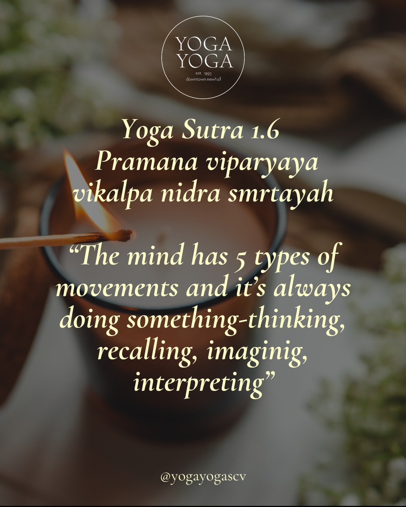 Yoga Sutra 1.6: Pramāṇa viparyaya vikalpa nidrā smṛtayaḥ

This sutra simply lists the five types of vṛttis (mental fluctuations or thought waves).

The Five Vṛttis (Thought Waves)
1.	Pramāṇa &ndash; Correct Knowledge- When we perceive something accur
