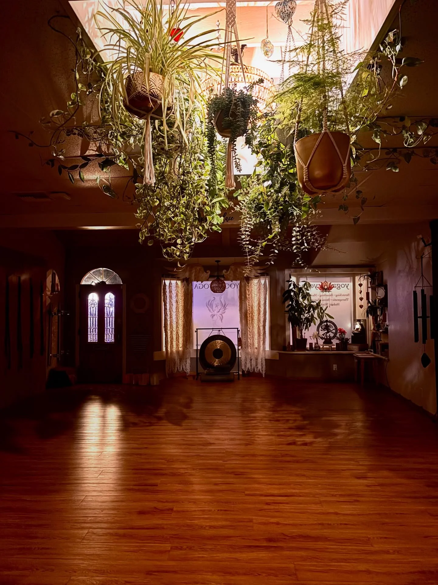 I must say, this shala is pretty special&hellip; but these plants truly steal the show 🌿

#plantbabies #plantmama #yogayogascv #sacredspace