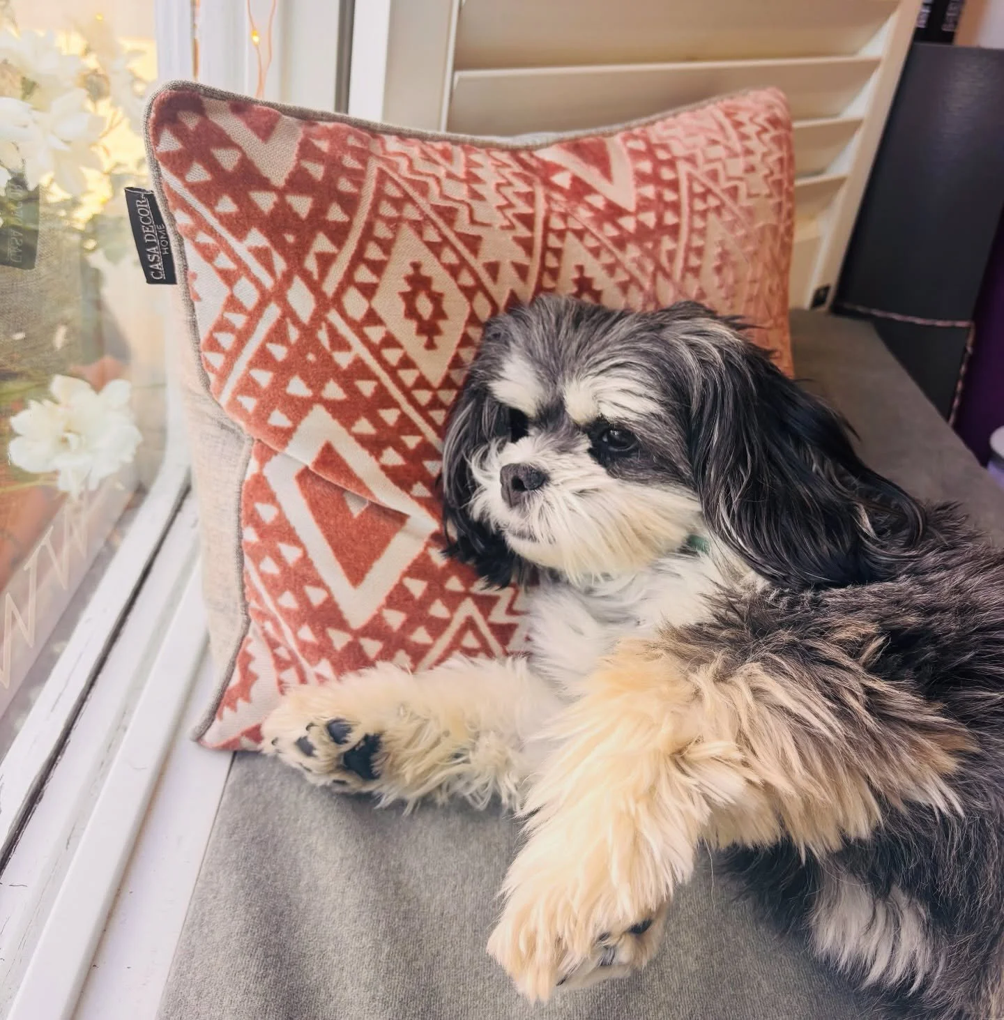 Post yoga mood&hellip;
safe, grounded, at home. 

Even our little fur baby feels it 🐾

#sacredspace #nervoussystemsupport #restandrestore #yogadog #Gigi❤️