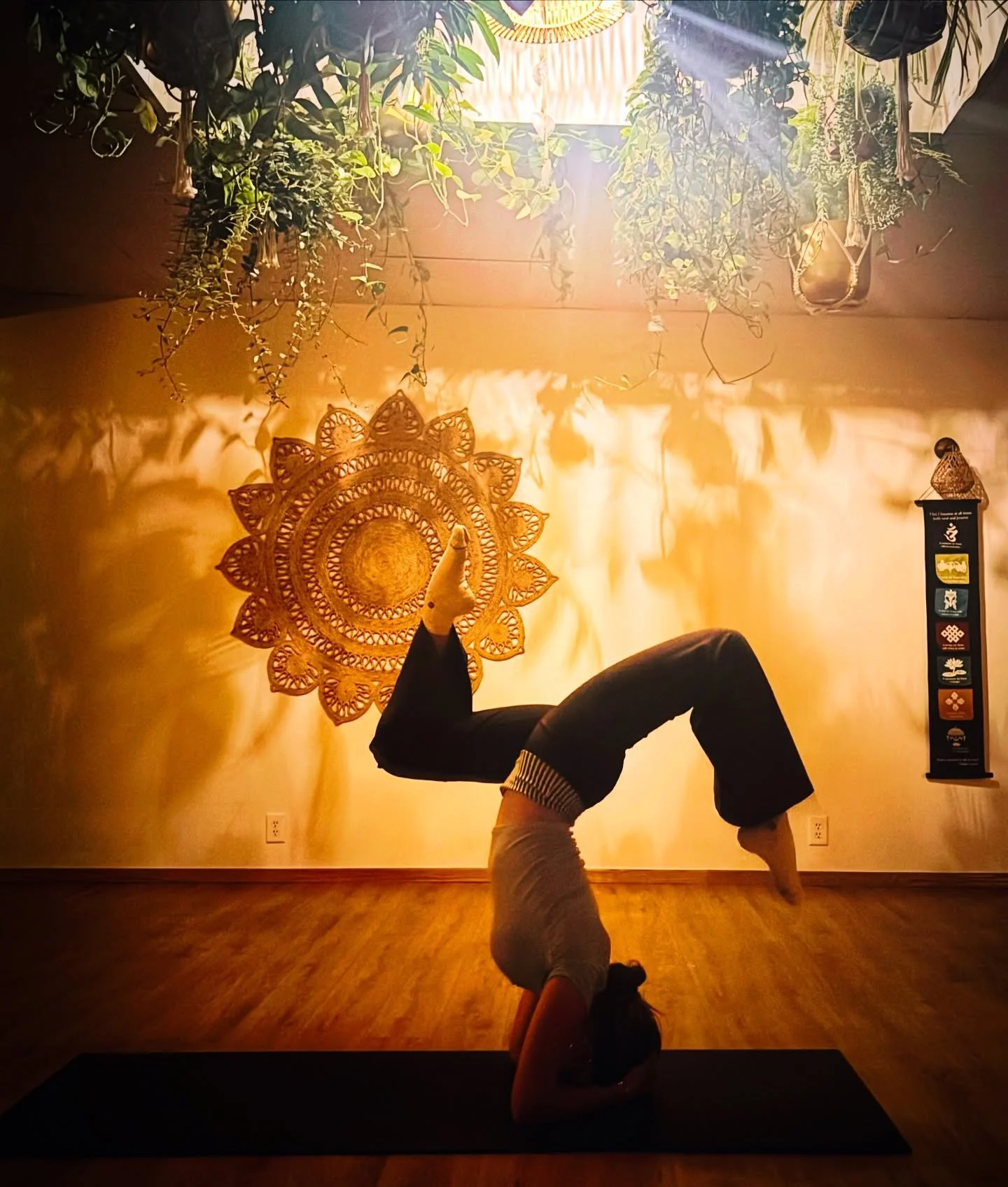 Soft, grounded, glowing.
Beautiful Makenzie after class&hellip; this is the magic✨

#YogaForTeens
#TeenWellness
#MindfulTeens
#NextGenWellness
YogaHea