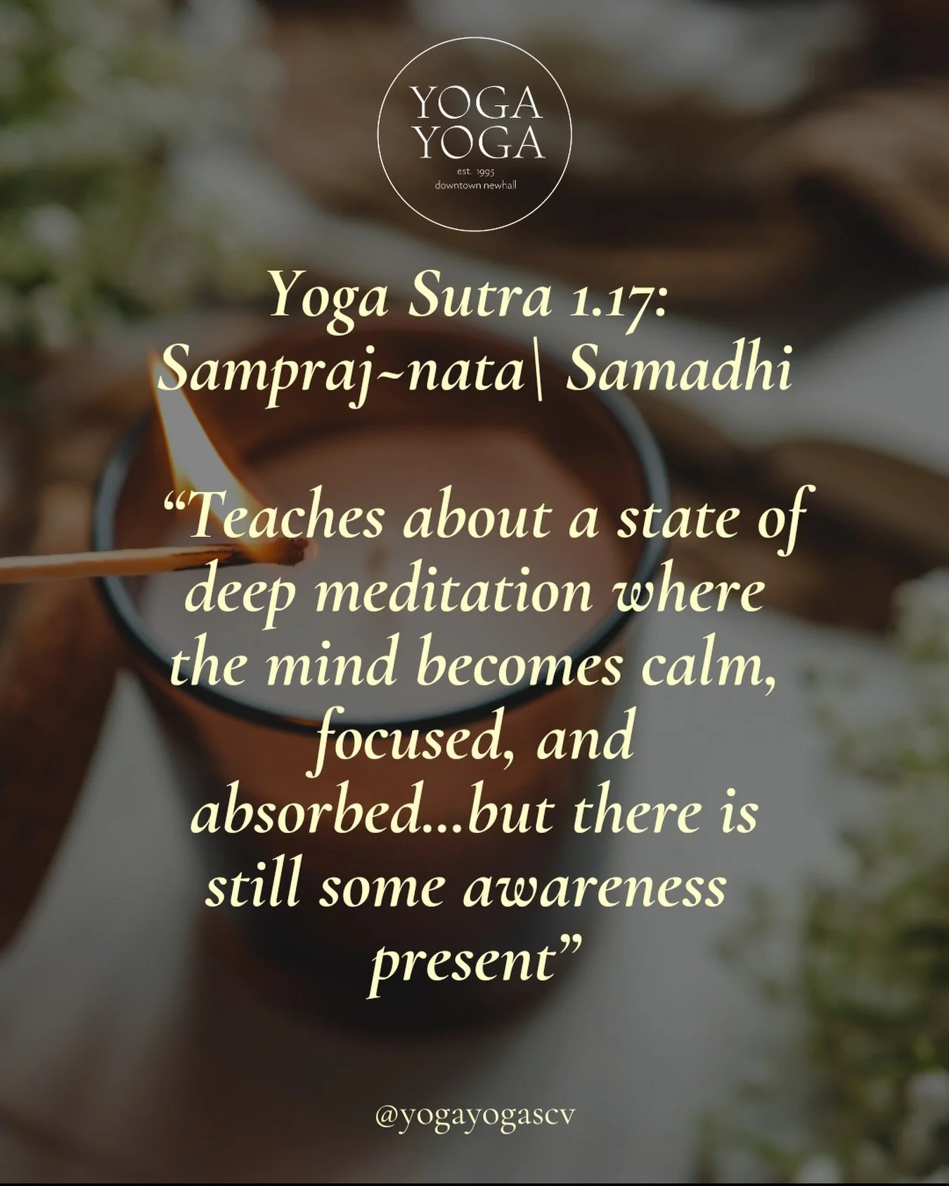 Sutra 1.17 - The quieter the mind becomes, the closer we come to our true nature.

#YogaSutras #LivingYoga #MeditationPractice #YogaPhilosophy #YogaYogaSCV