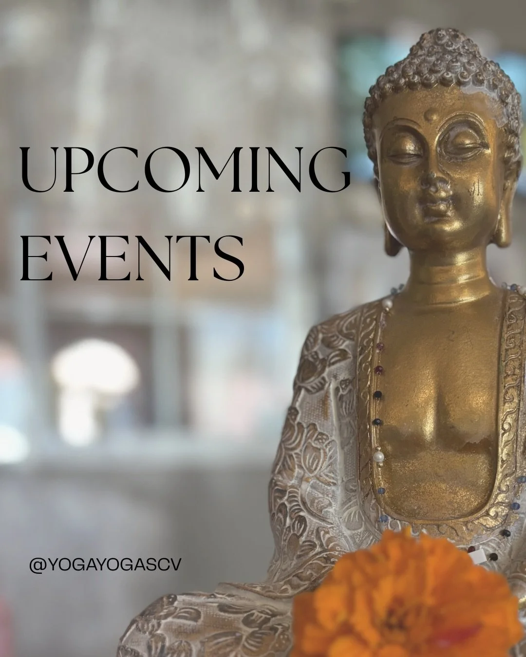 At Yoga Yoga, workshops are an opportunity to go deeper&hellip; to expand your practice, learn something new, and experience something beyond what a weekly class can offer. 

I&rsquo;m very thoughtful about what we bring to our community because I wa