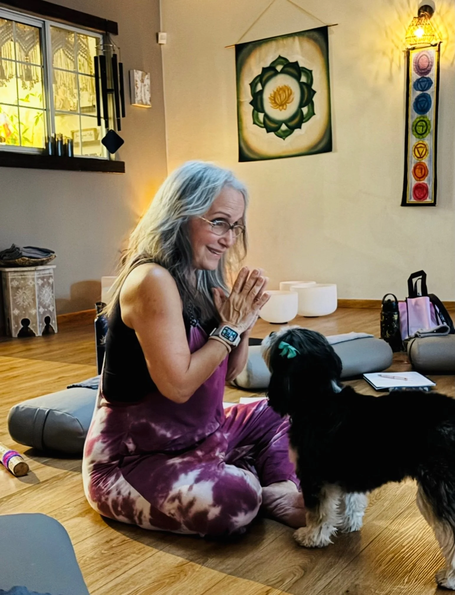 Gigi, our sweet shala pup, and tiny keeper of joy. Always greeting, loving and reminding us to slow down and smile. 

She has an extra special connection with @lorischneider411 that just so sweet to witness❤️

#YogaPup #Gigi #Joy #UnconditionalLove