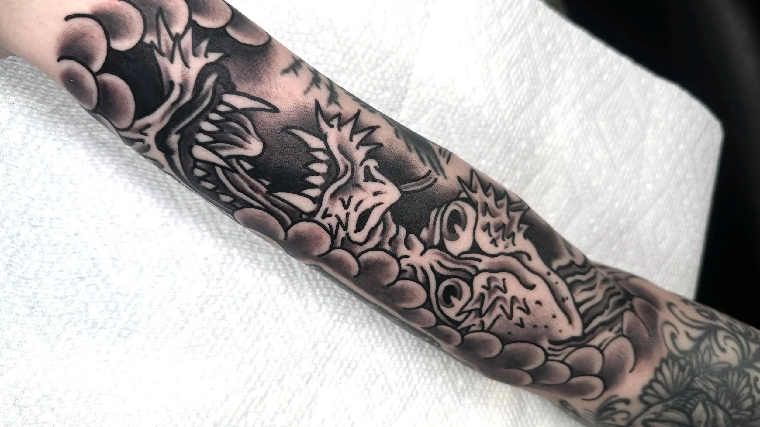 Black and Grey