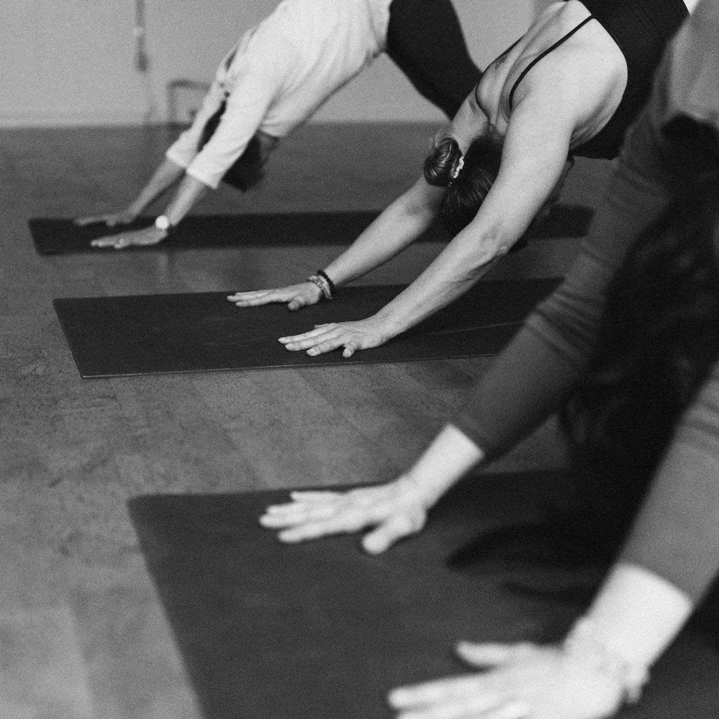 Mat or hammock? Grounded or flying? Why not both? ✨

🧘&zwj;♂️ 200-Hour Yoga Teacher Training
&bull; Oct 2025&ndash;April 2026 | some weekends
&bull; Info Session Sept 9

🌙 Our Aerial Yoga Teacher Training for September is FULL - get on the list for