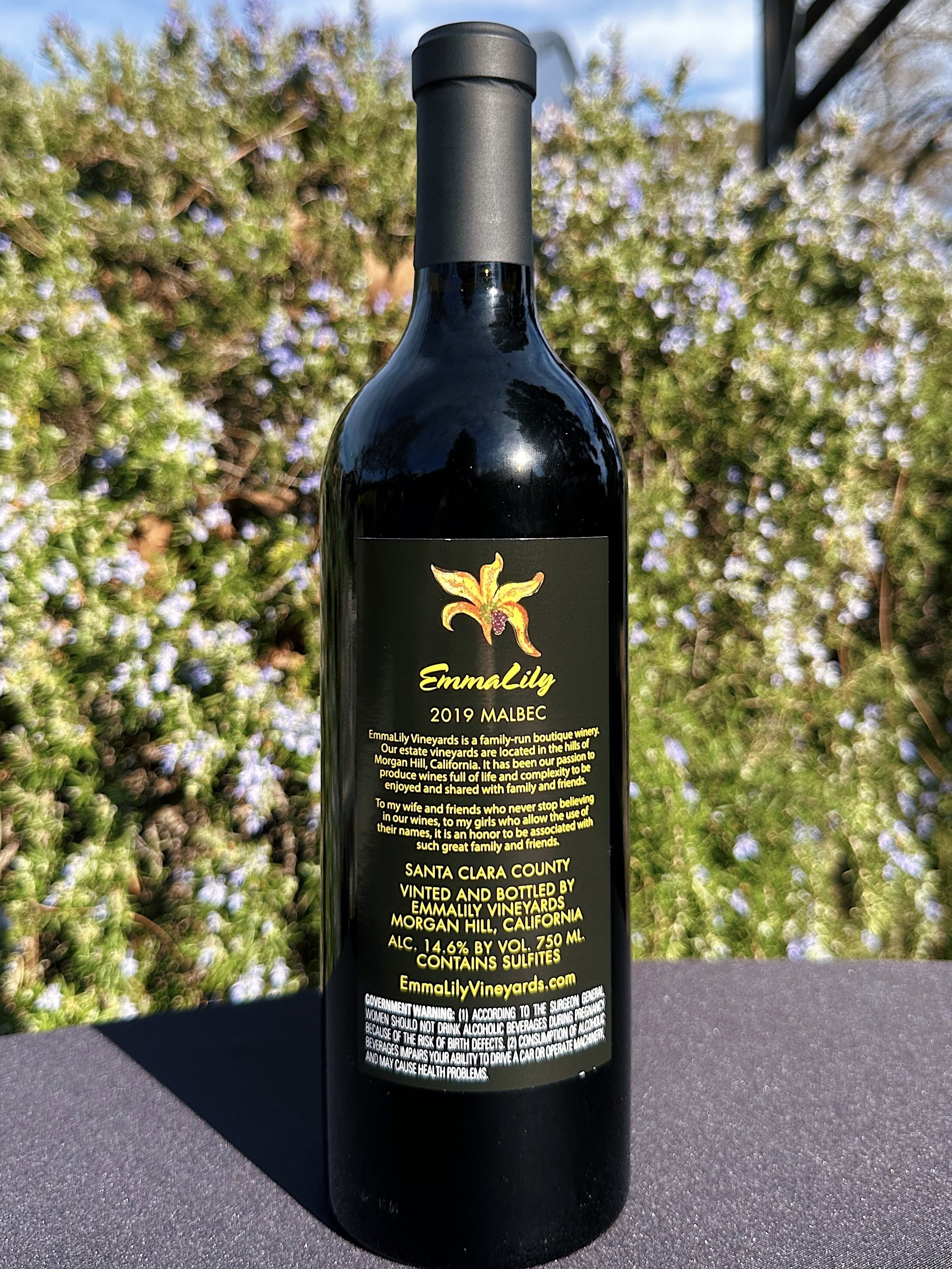 MALBEC 1.jpg