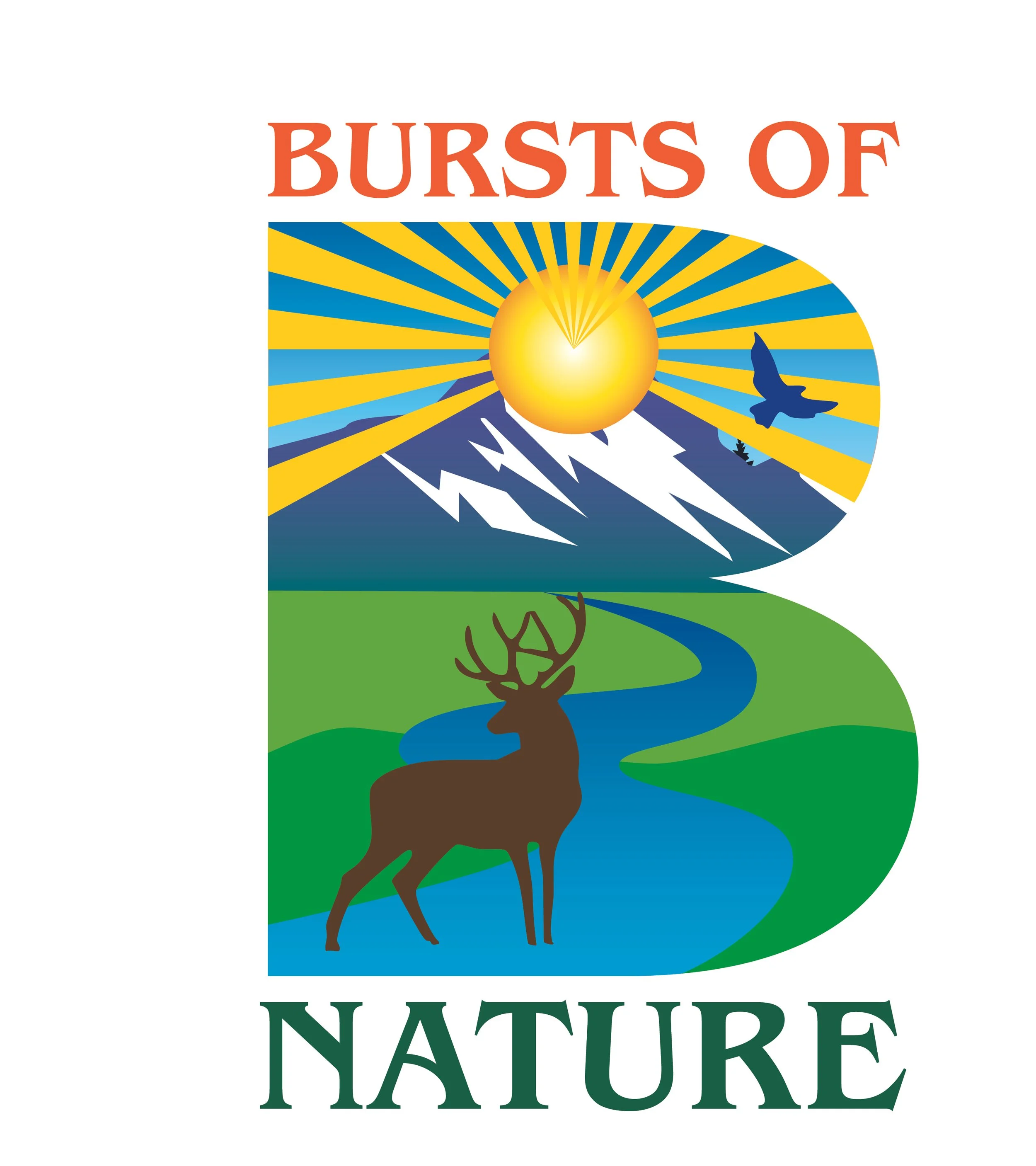bursts of nature.jpg